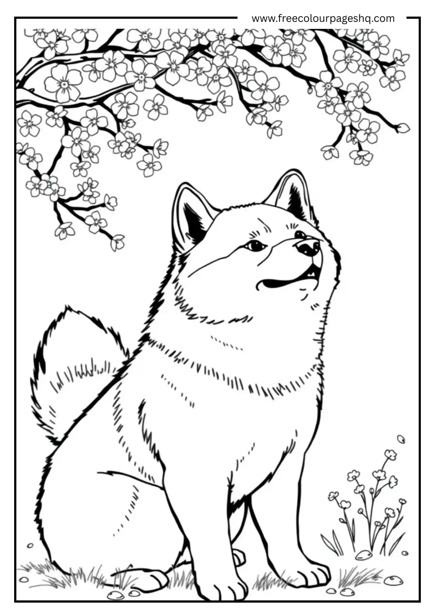 Floral Pup
