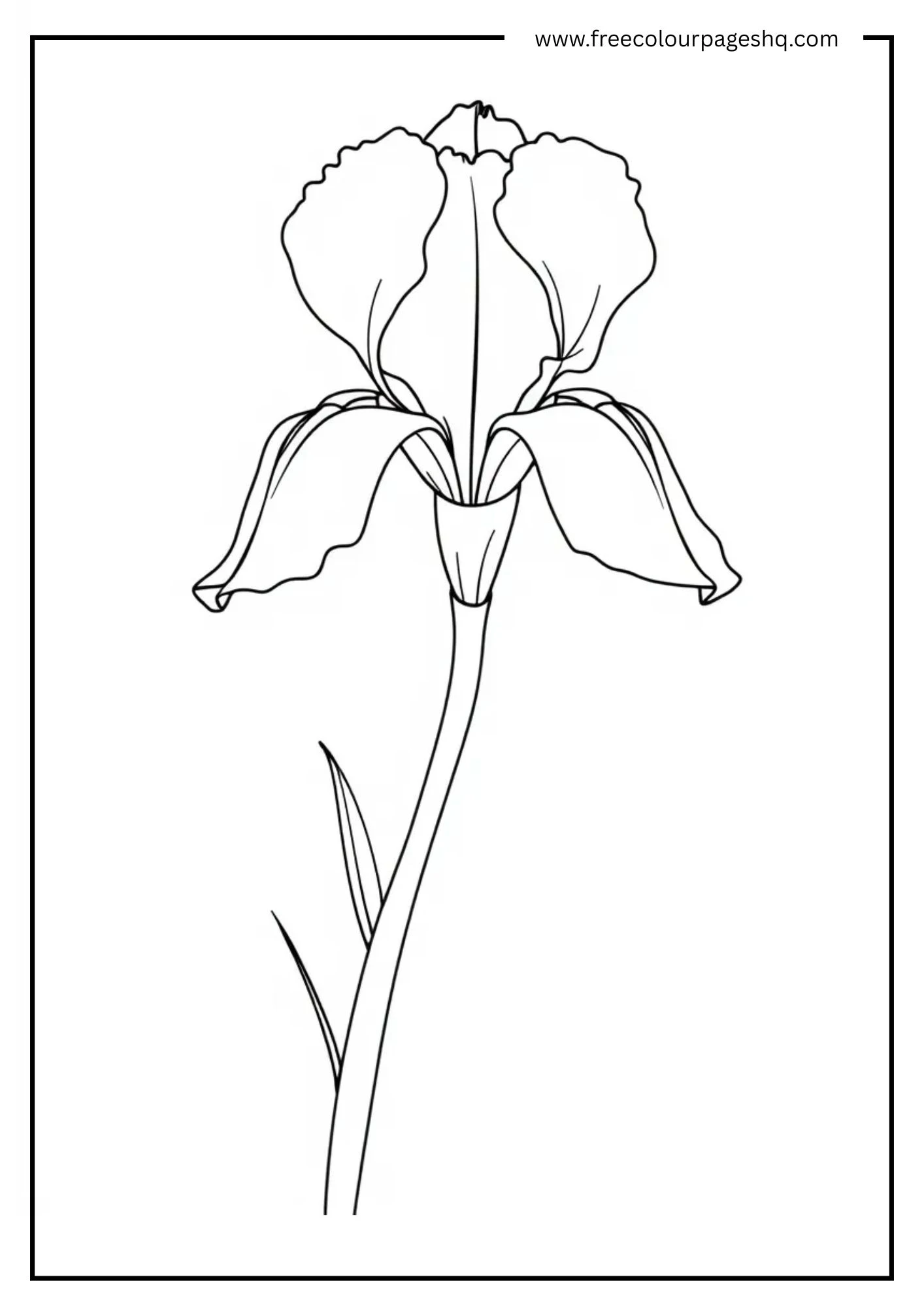 Flower Fun