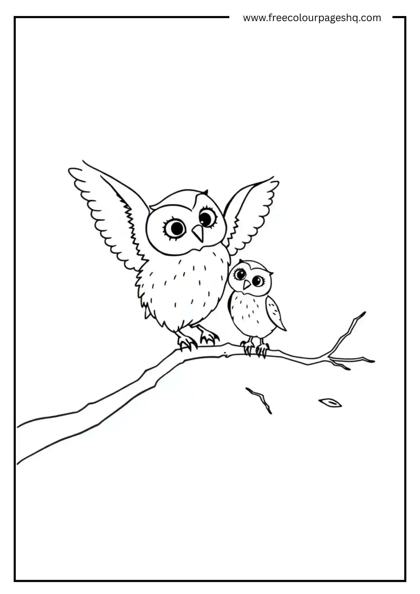 Flying Lesson Owl