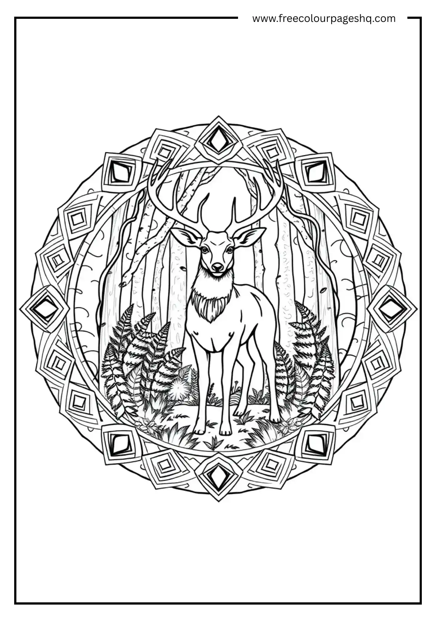 Forest Mandala Scene