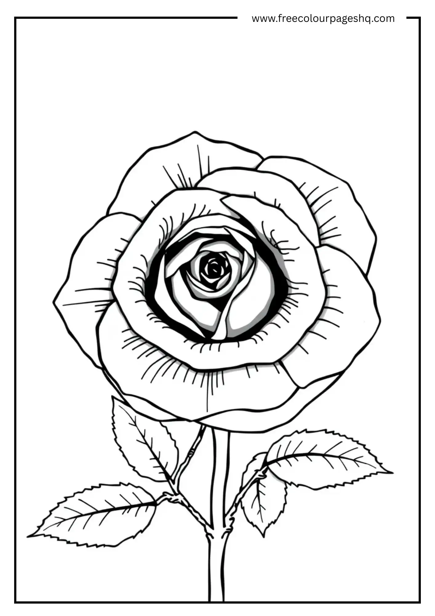 Fresh Tulip