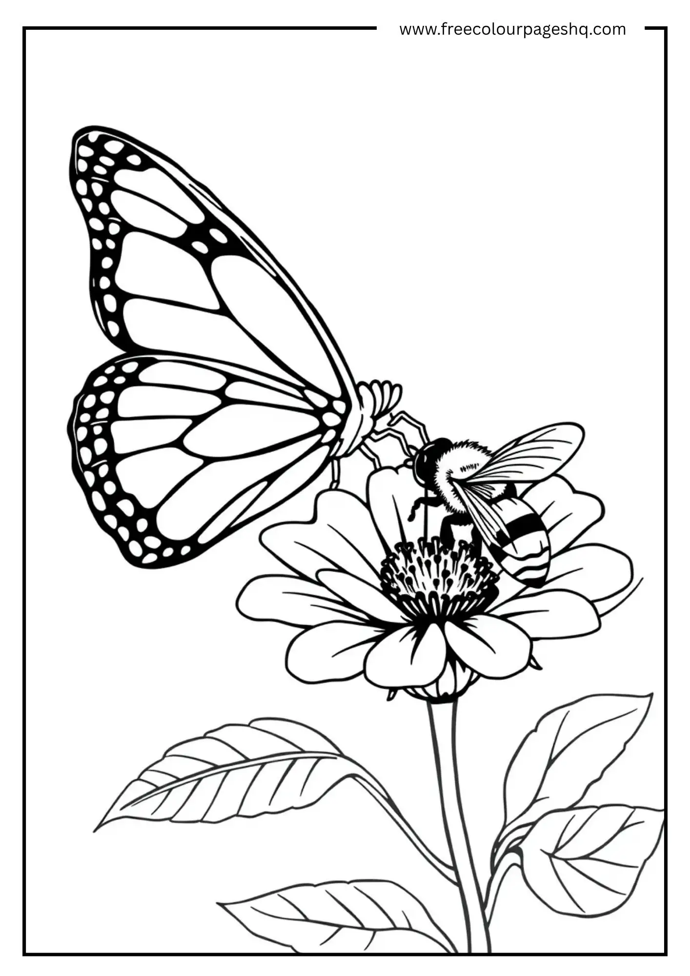 Friends on a Flower