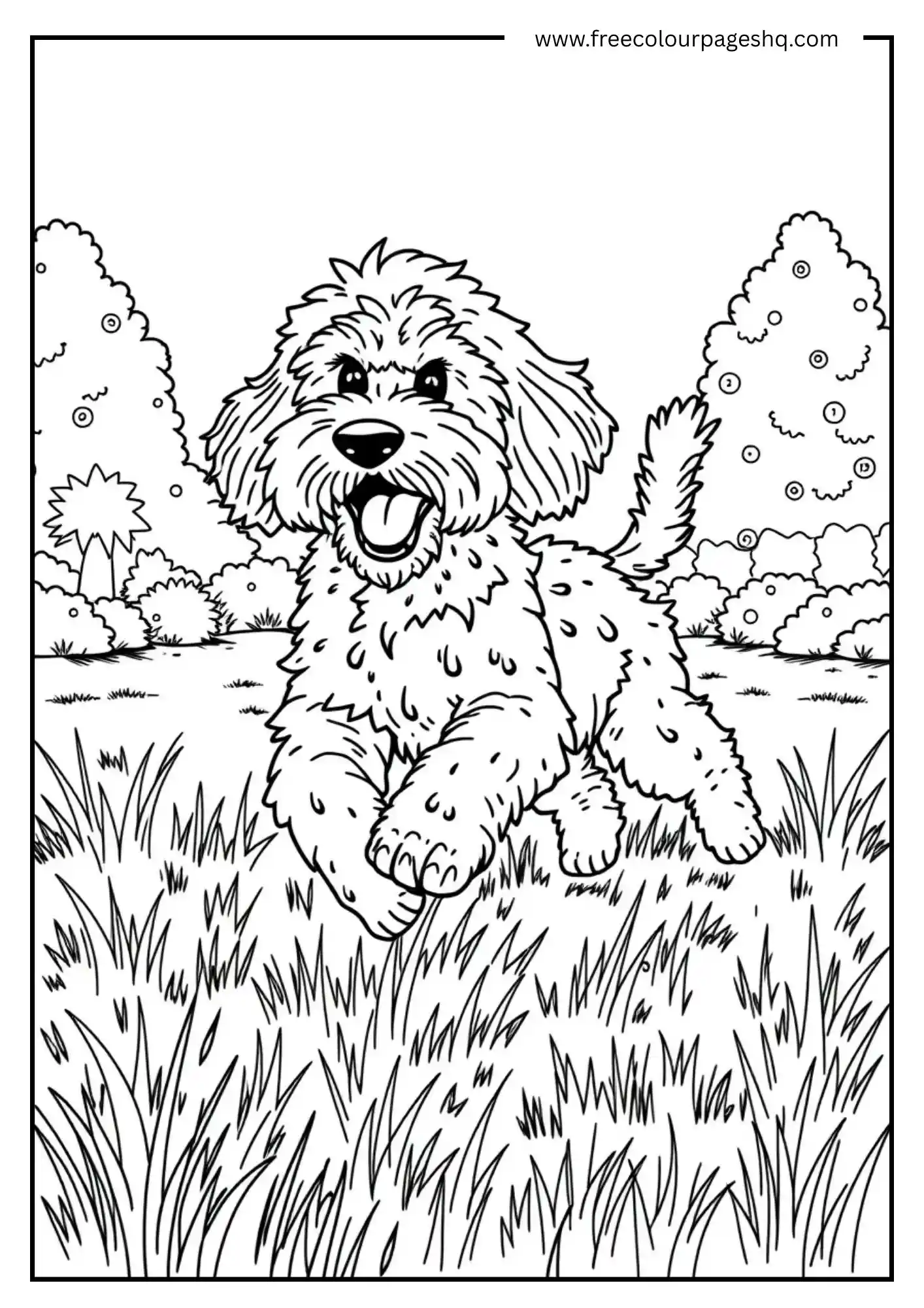 Fun Time Dog