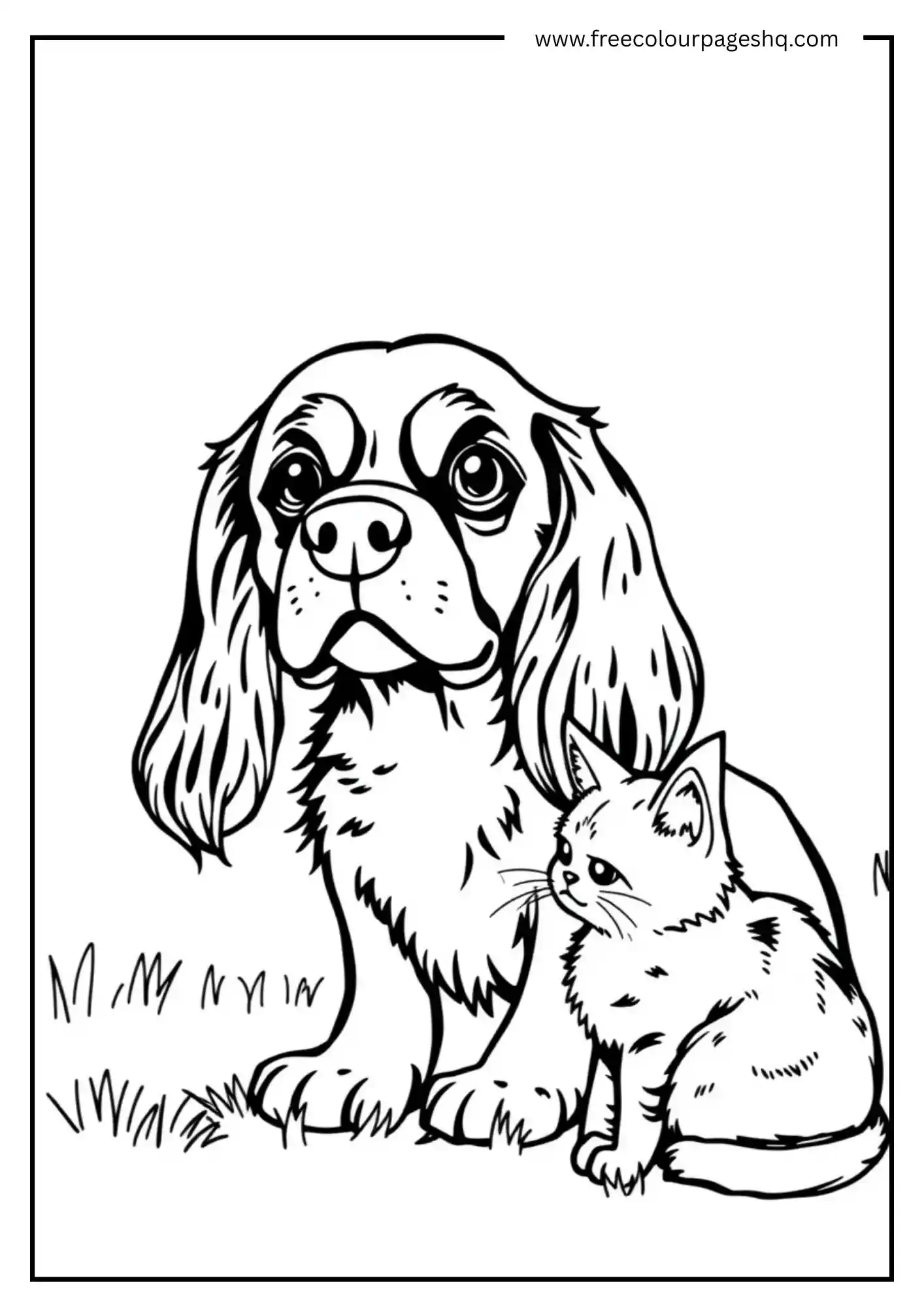 Furry Friends