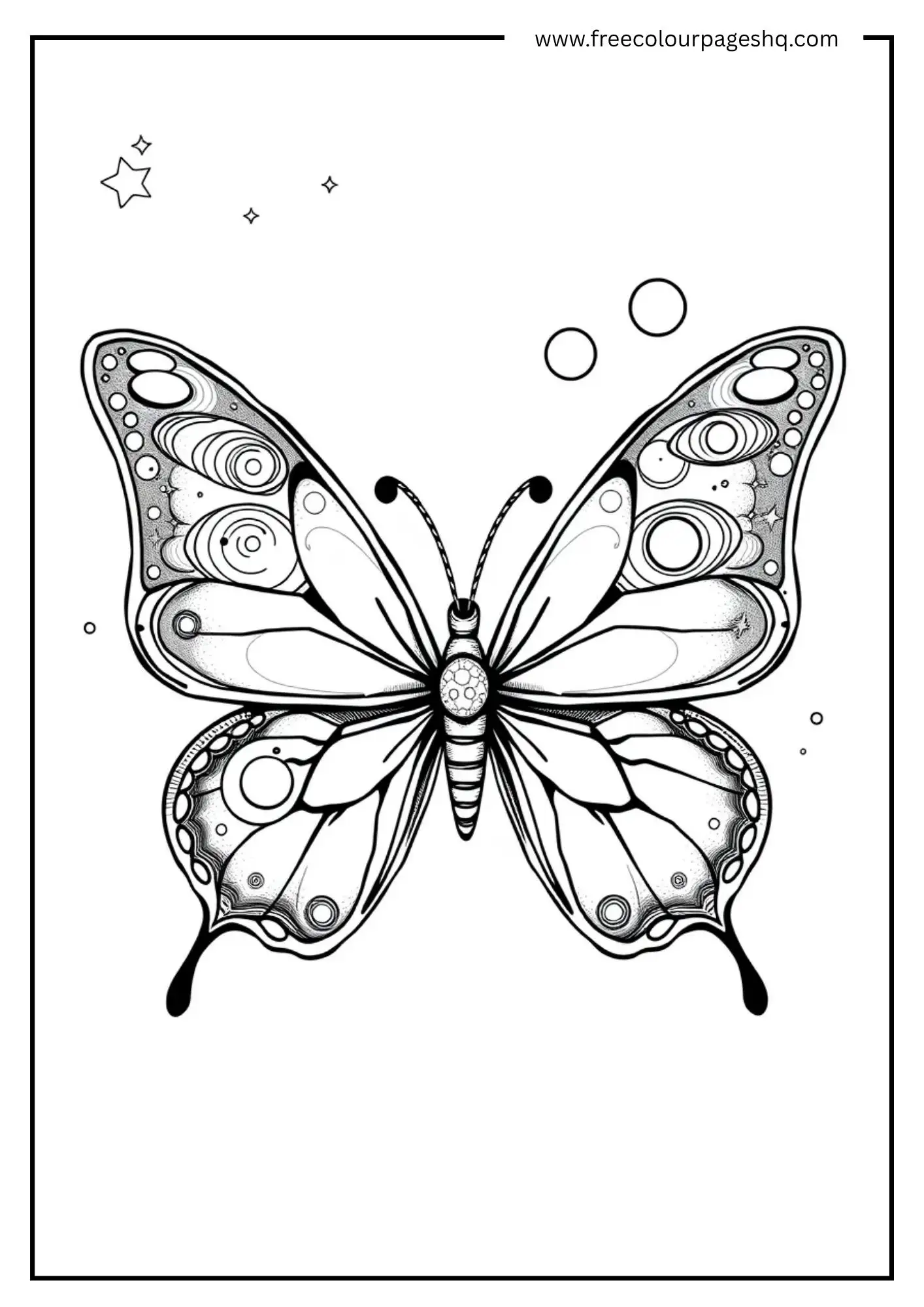 Galaxy Butterfly