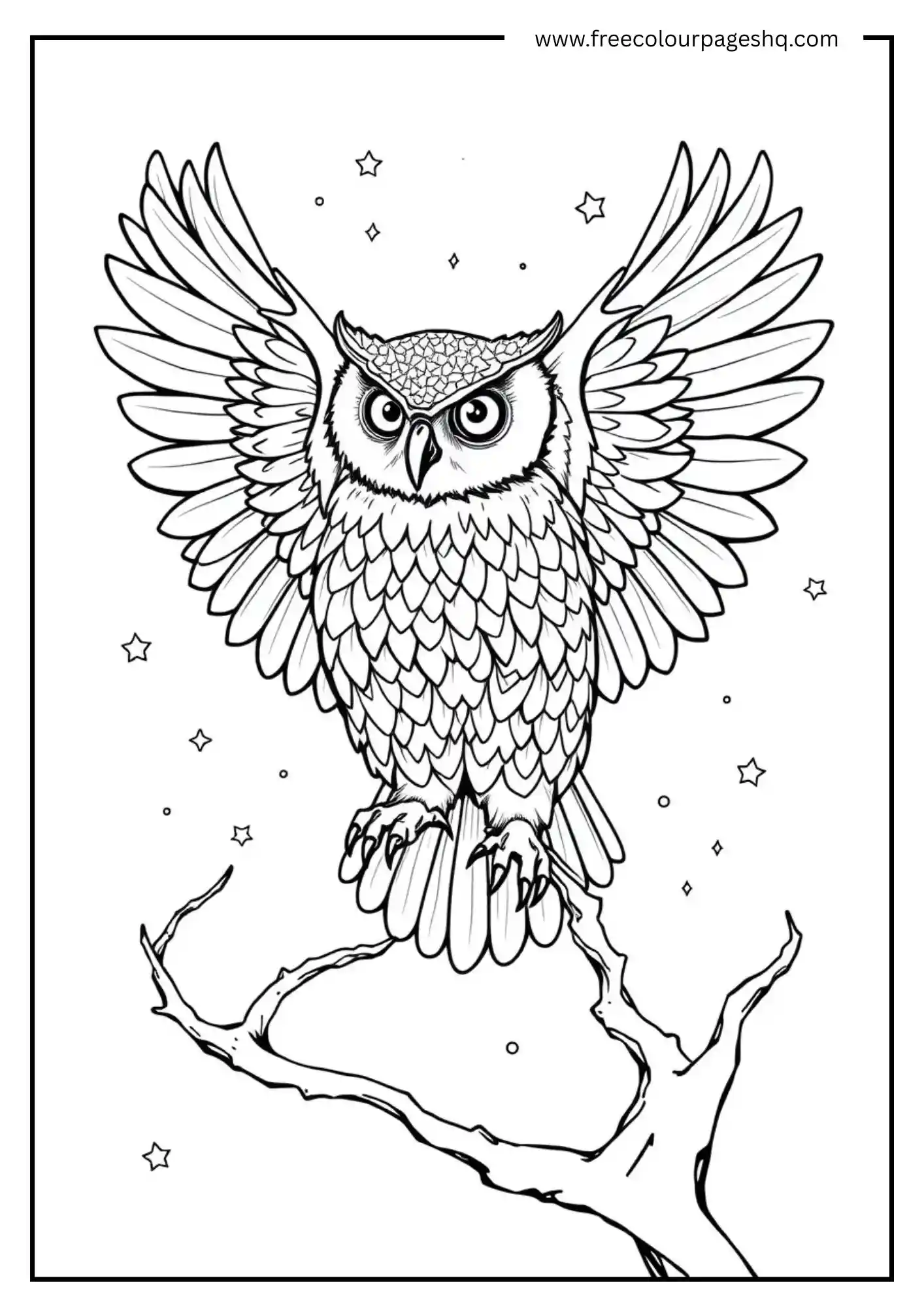 Galaxy Winged Owl