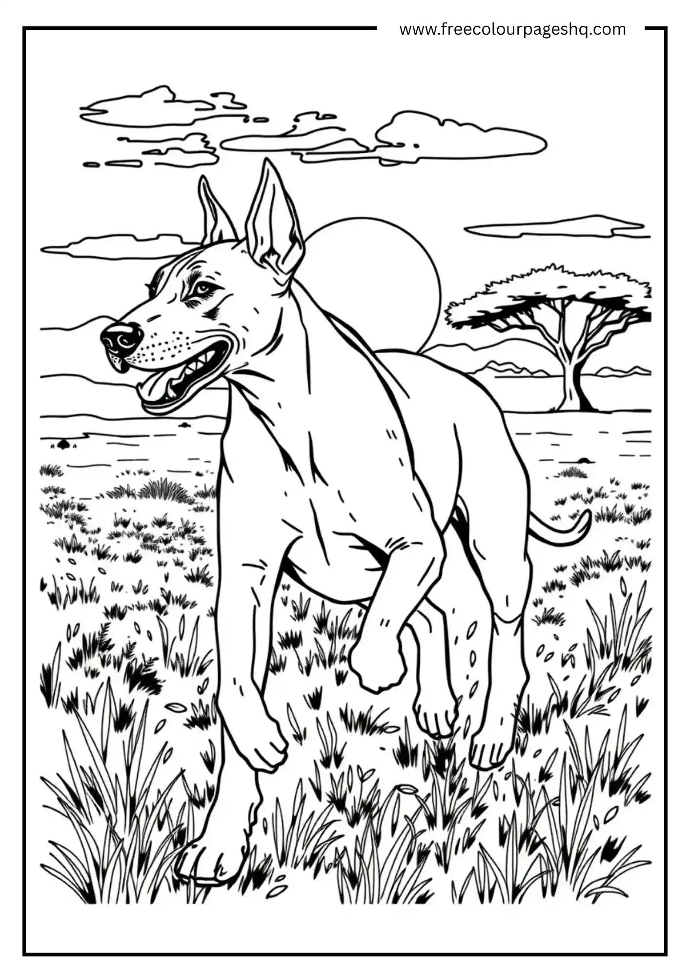 Happy Dog in the Field