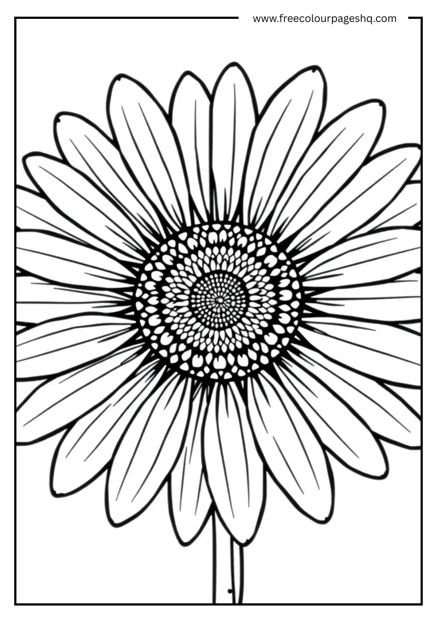 Happy Sunflower