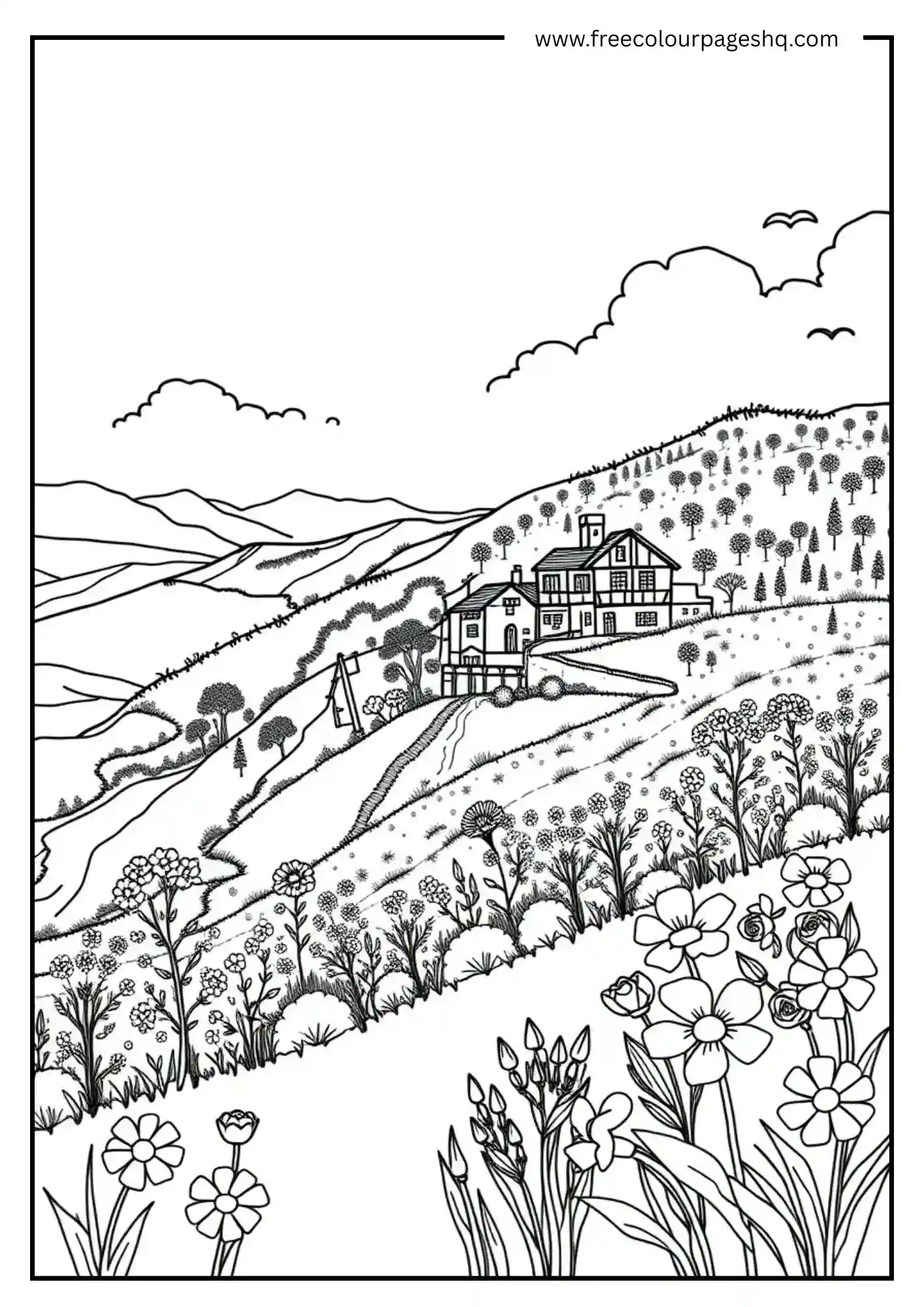 Hillside Blooms