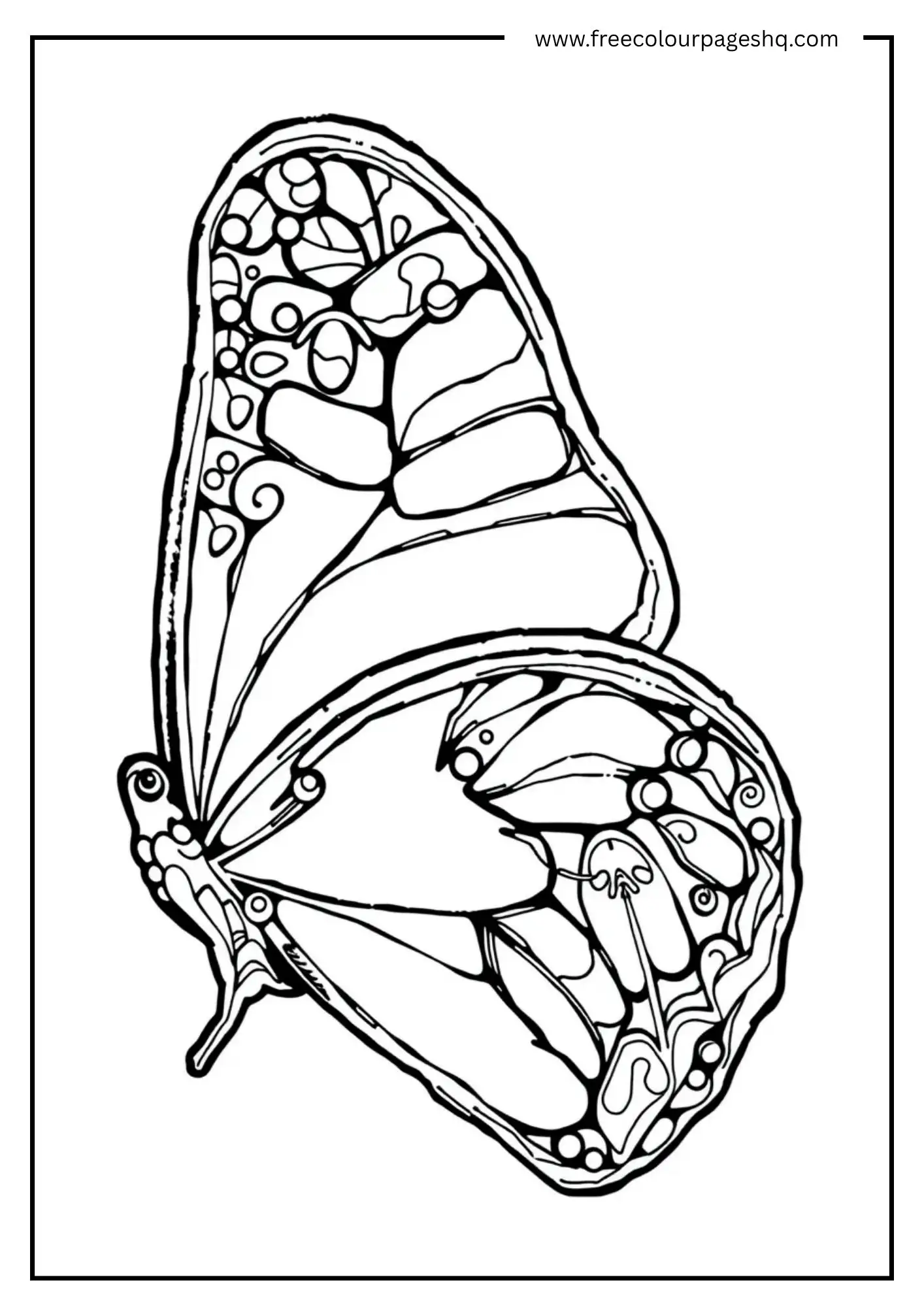 Ice Butterfly
