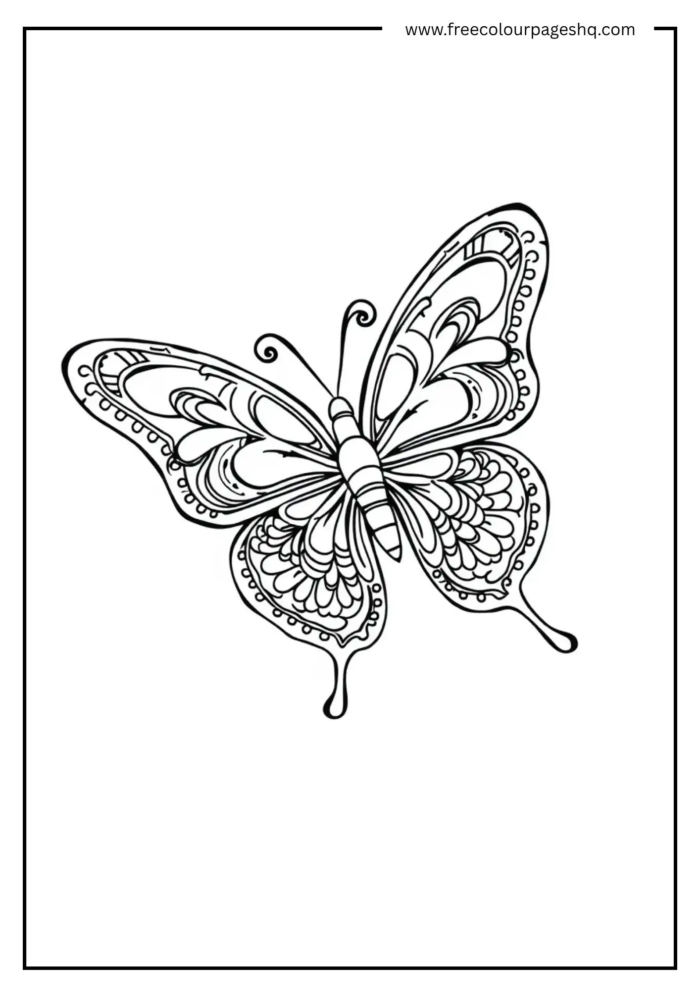 Intricate Wings