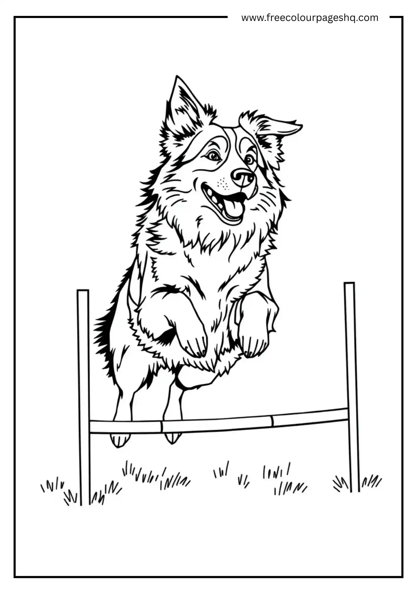 Jumping Dog