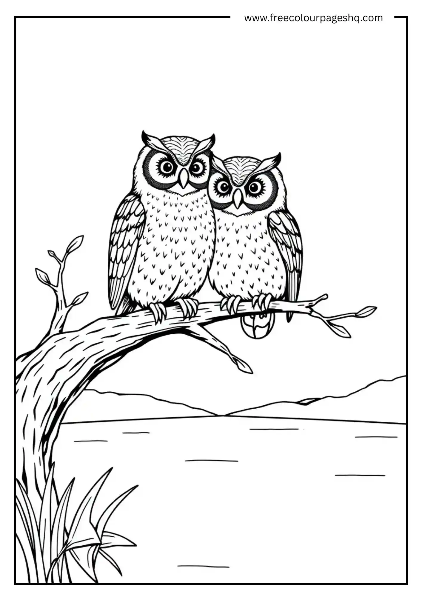 Lakeside Owl Pair