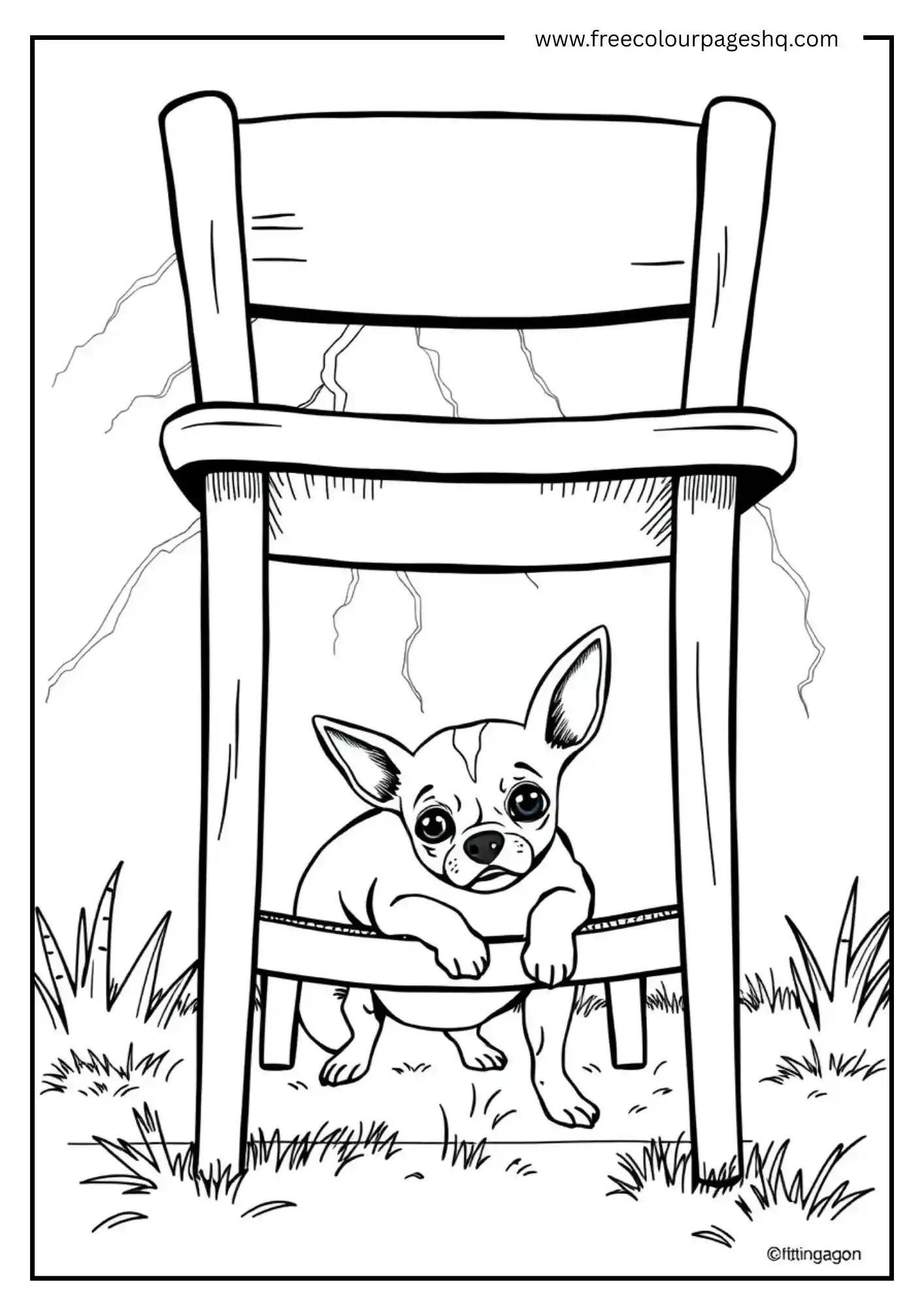 Lonely Dog