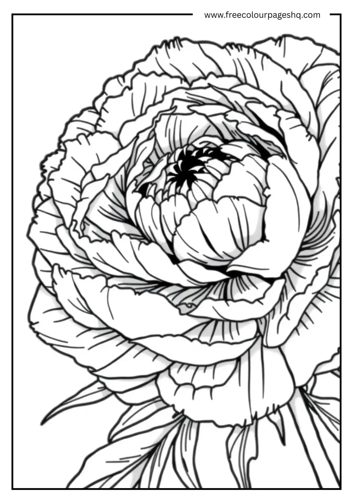 Lovely Blooms