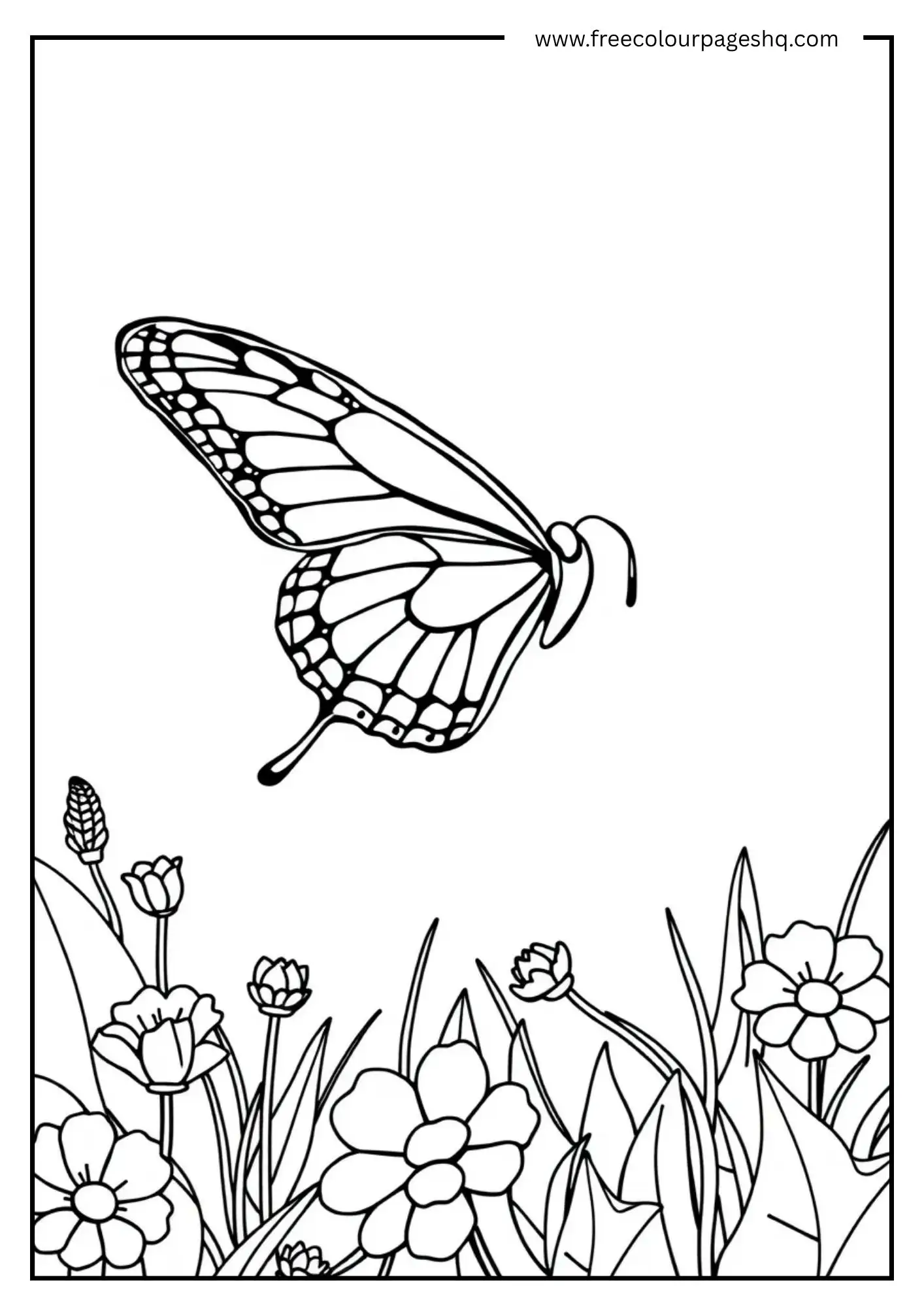 Meadow Flight