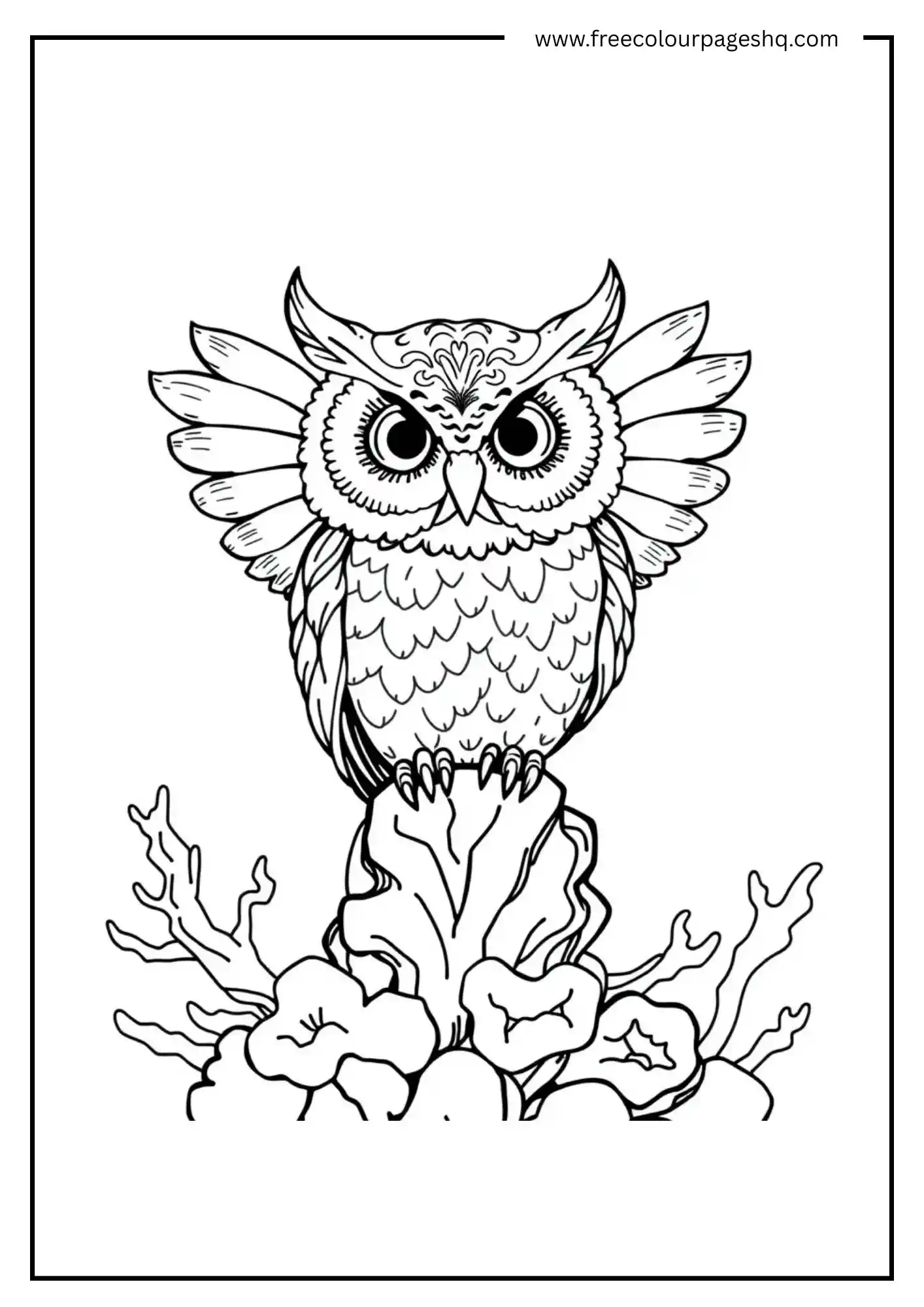 Mermaid Shell Owl