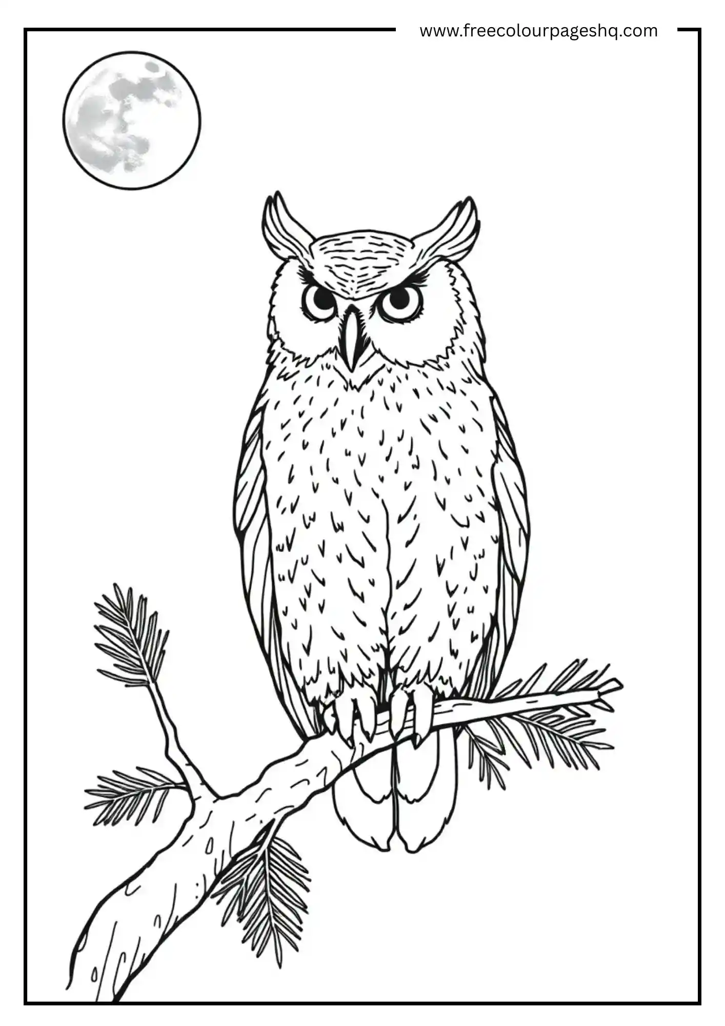 Moonlit Horned Owl Perch