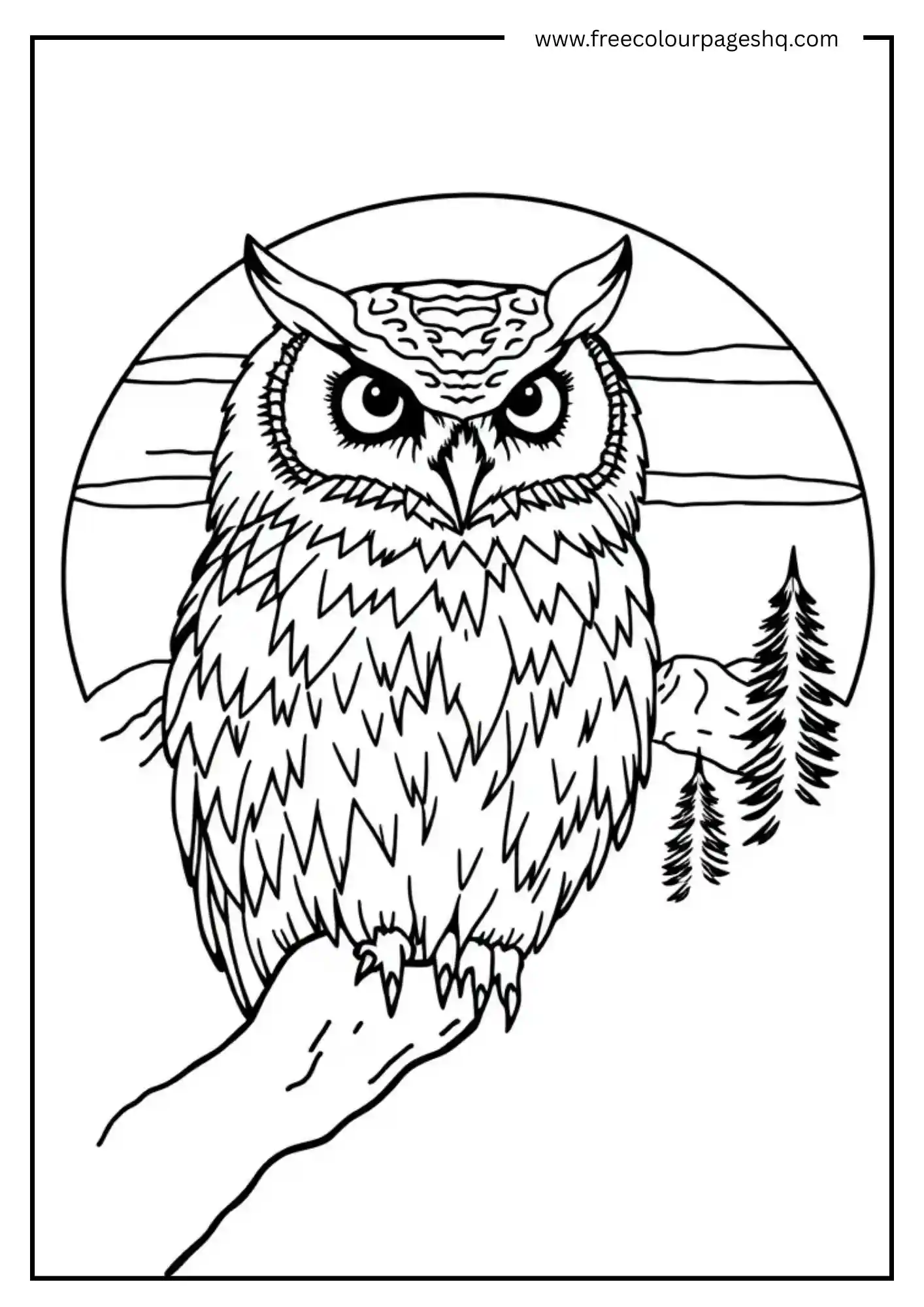 Mountain Sunrise Owl