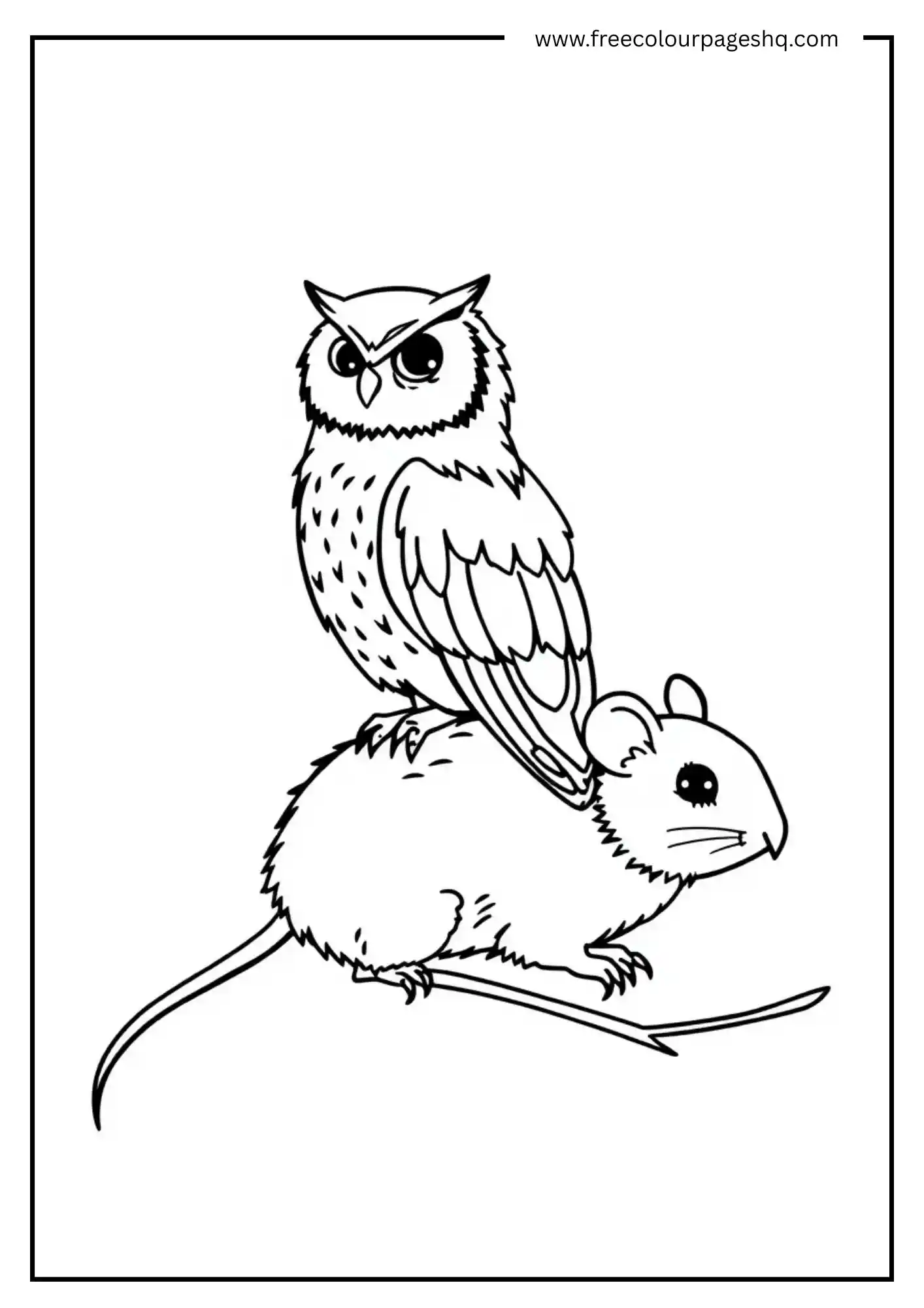 Mouse Rider Owl