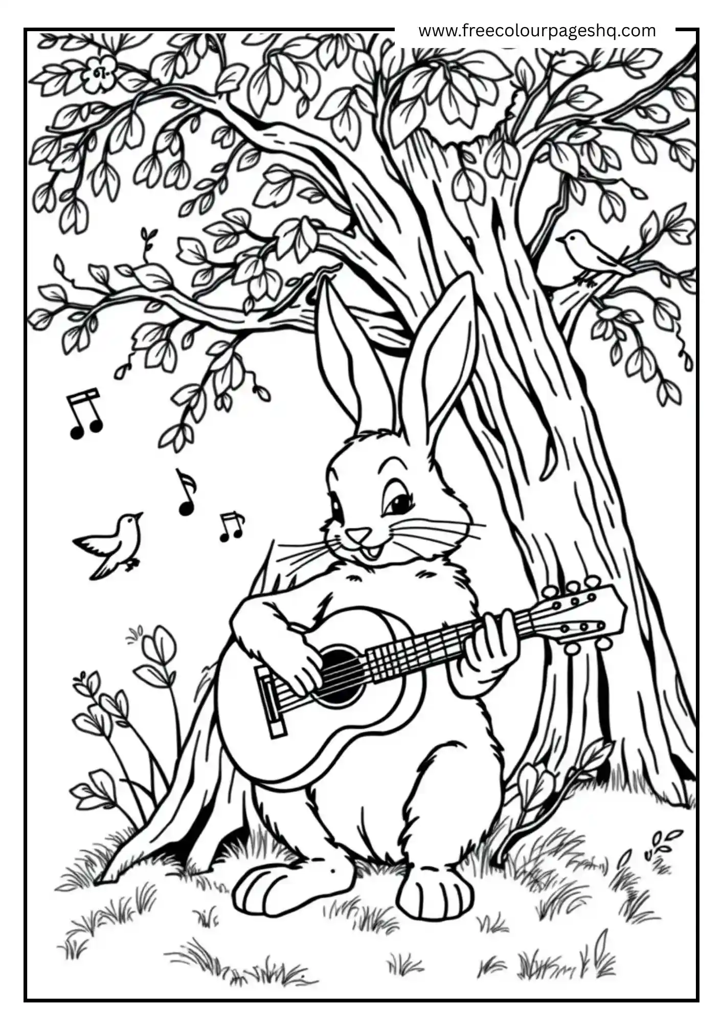 Musician Bunny