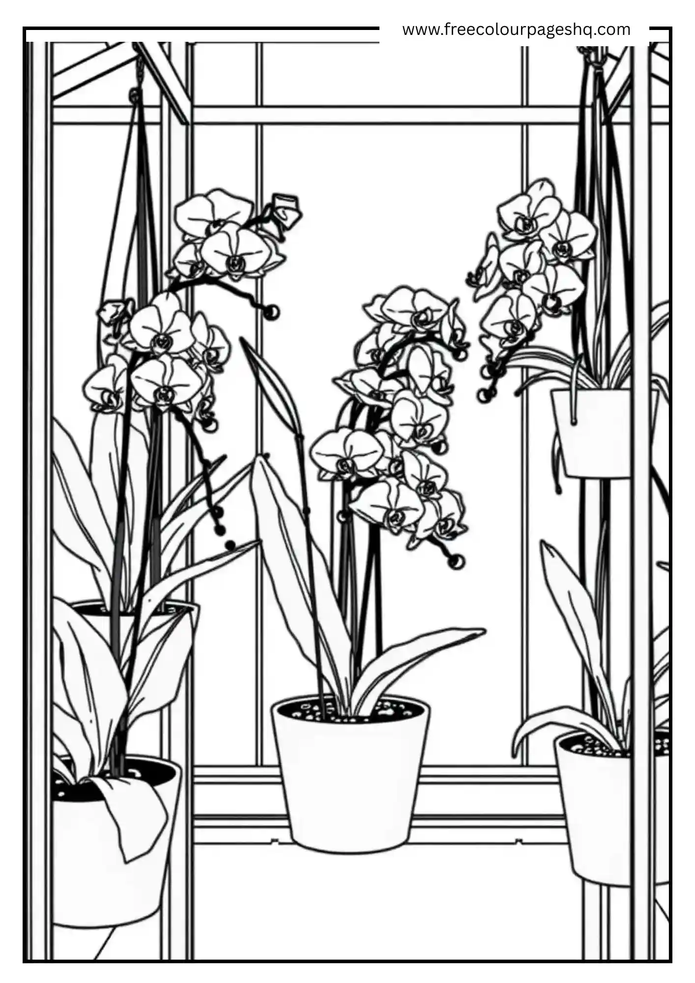 Orchid Charm