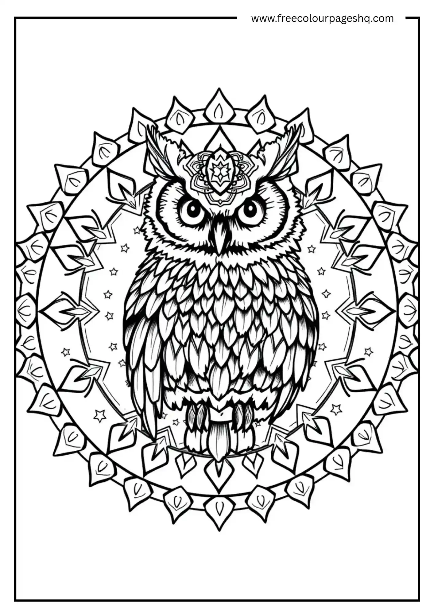 Owl in Mandala Frame