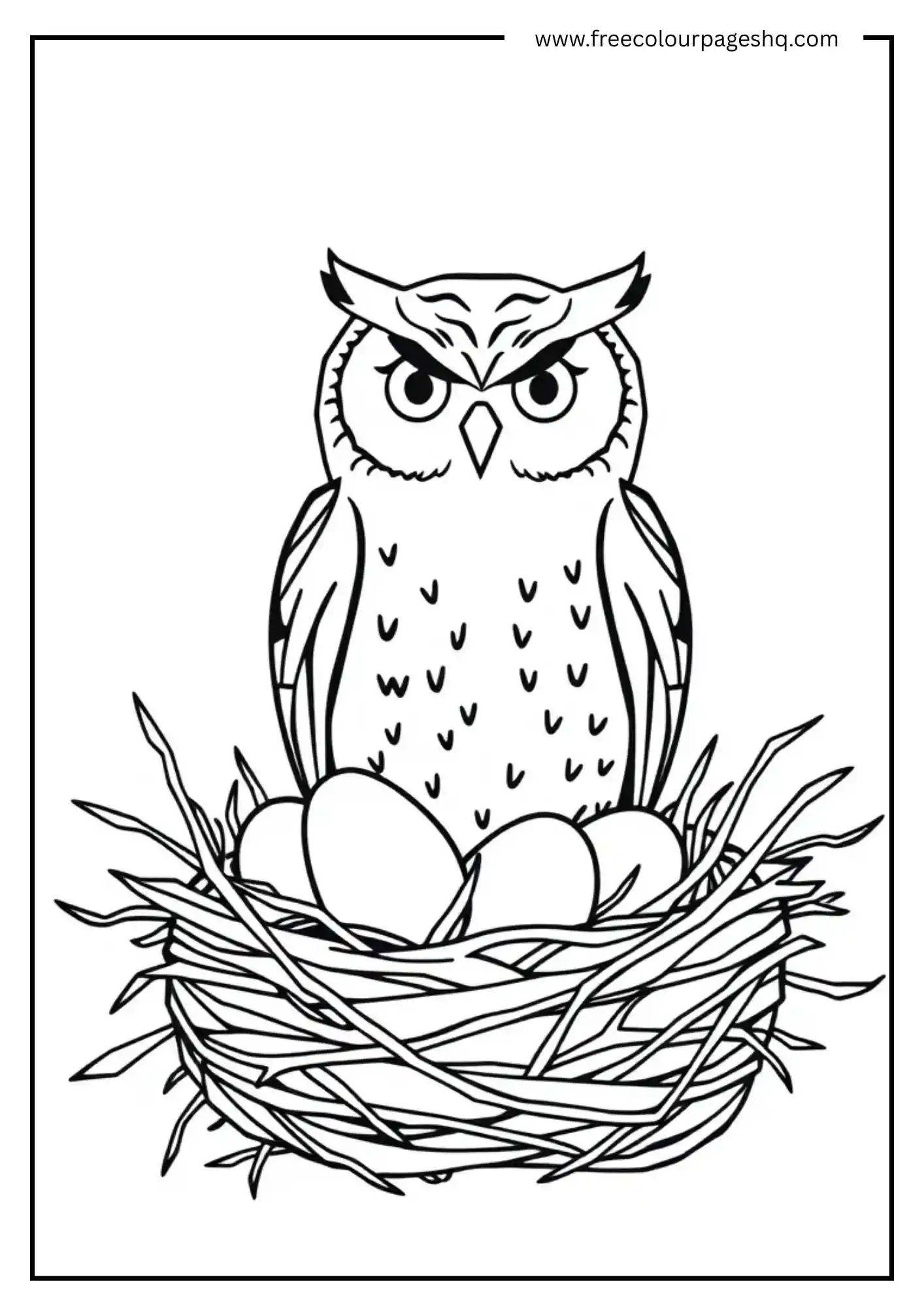 Pastel Egg Owl