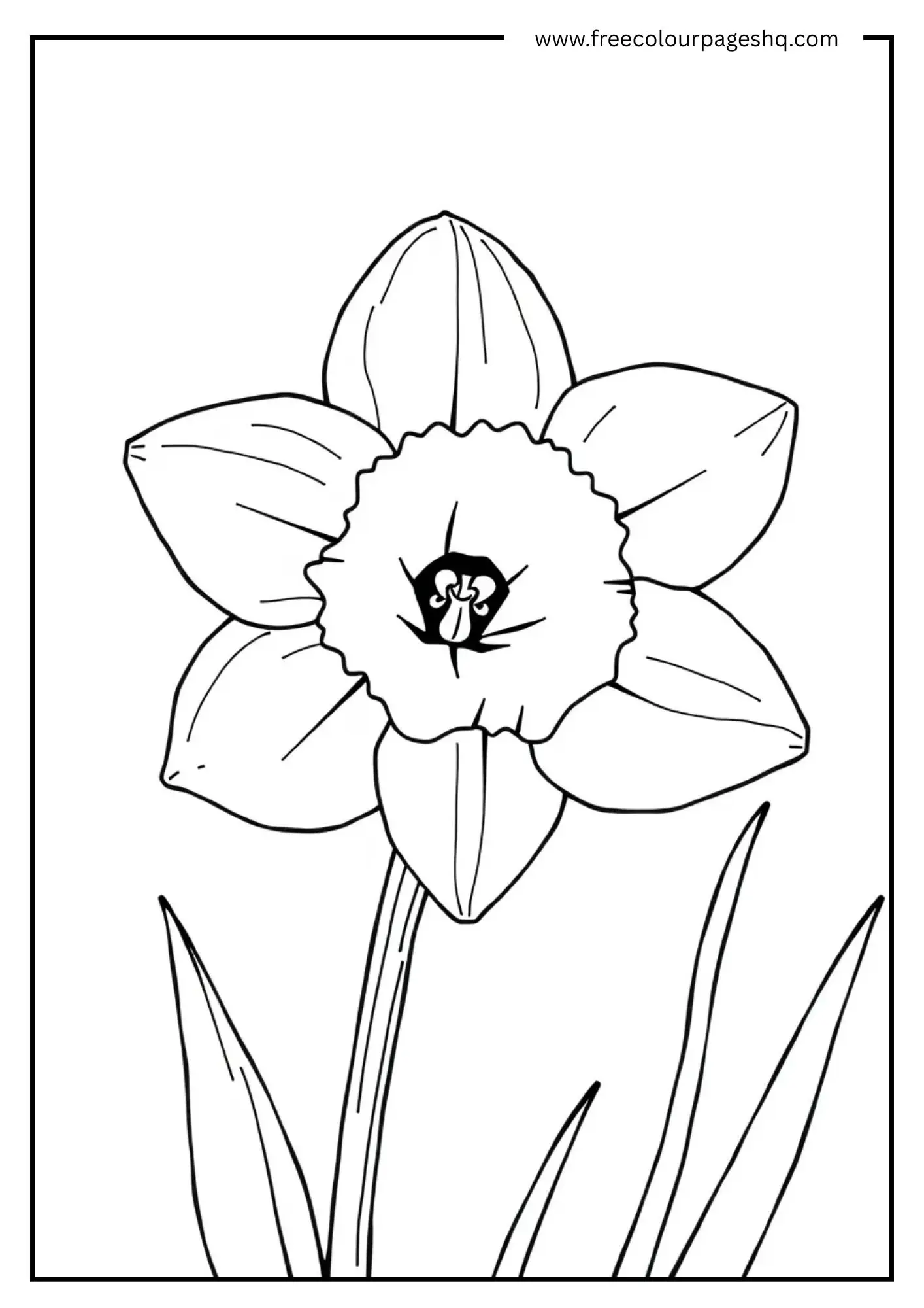 Peaceful Petals
