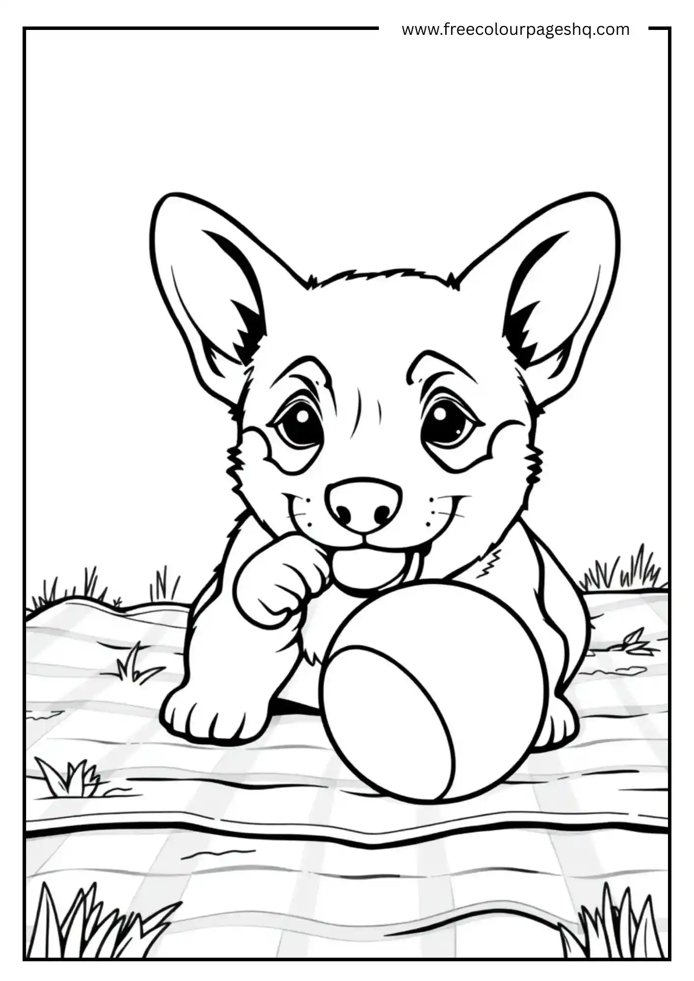 Playful Corgi Puppy with Ball
