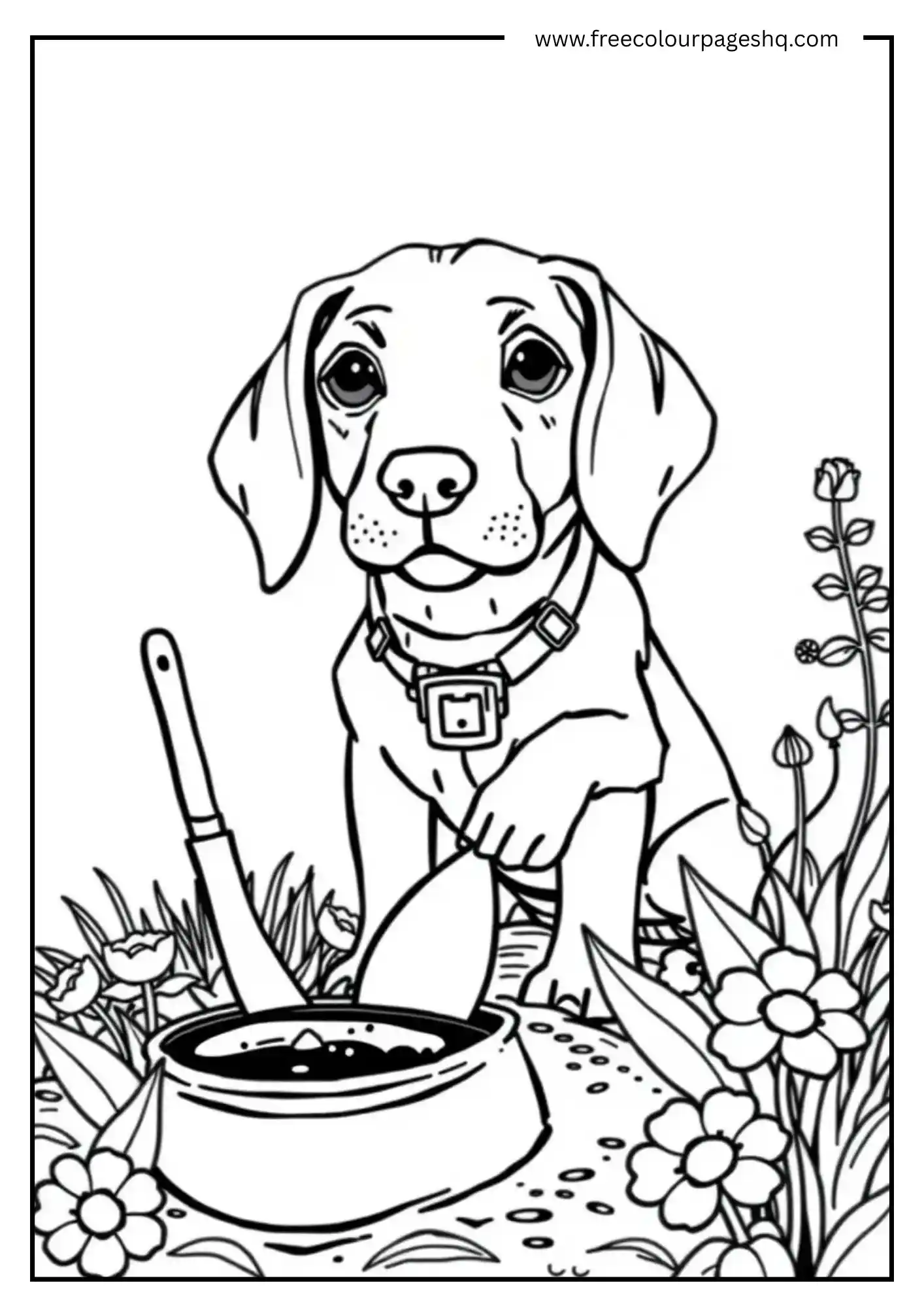 Playful Dog Digging