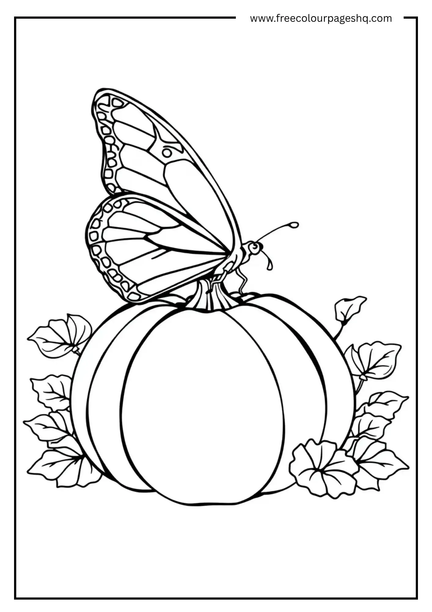 Pumpkin Butterfly