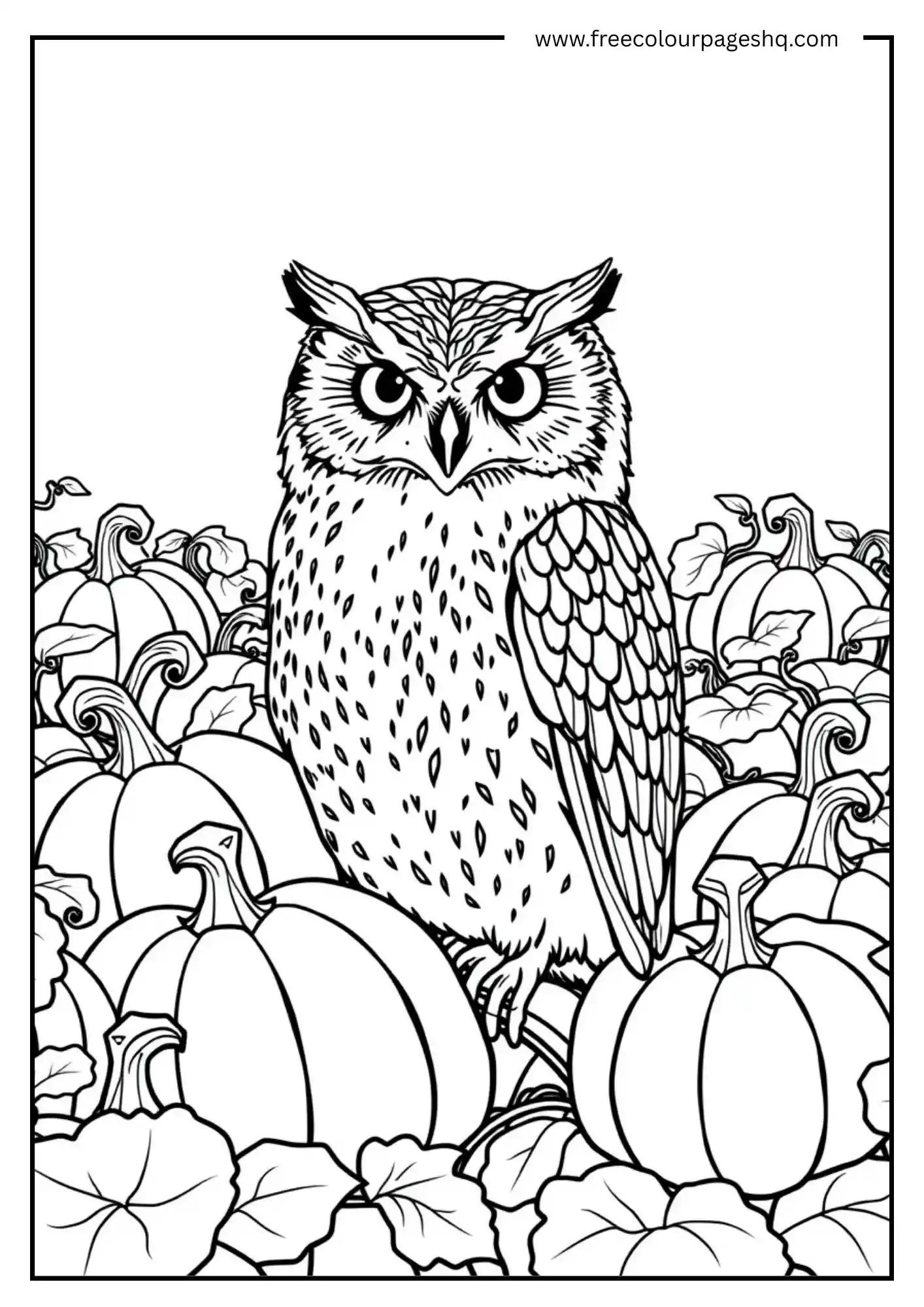 Pumpkin Patch Screech Owl
