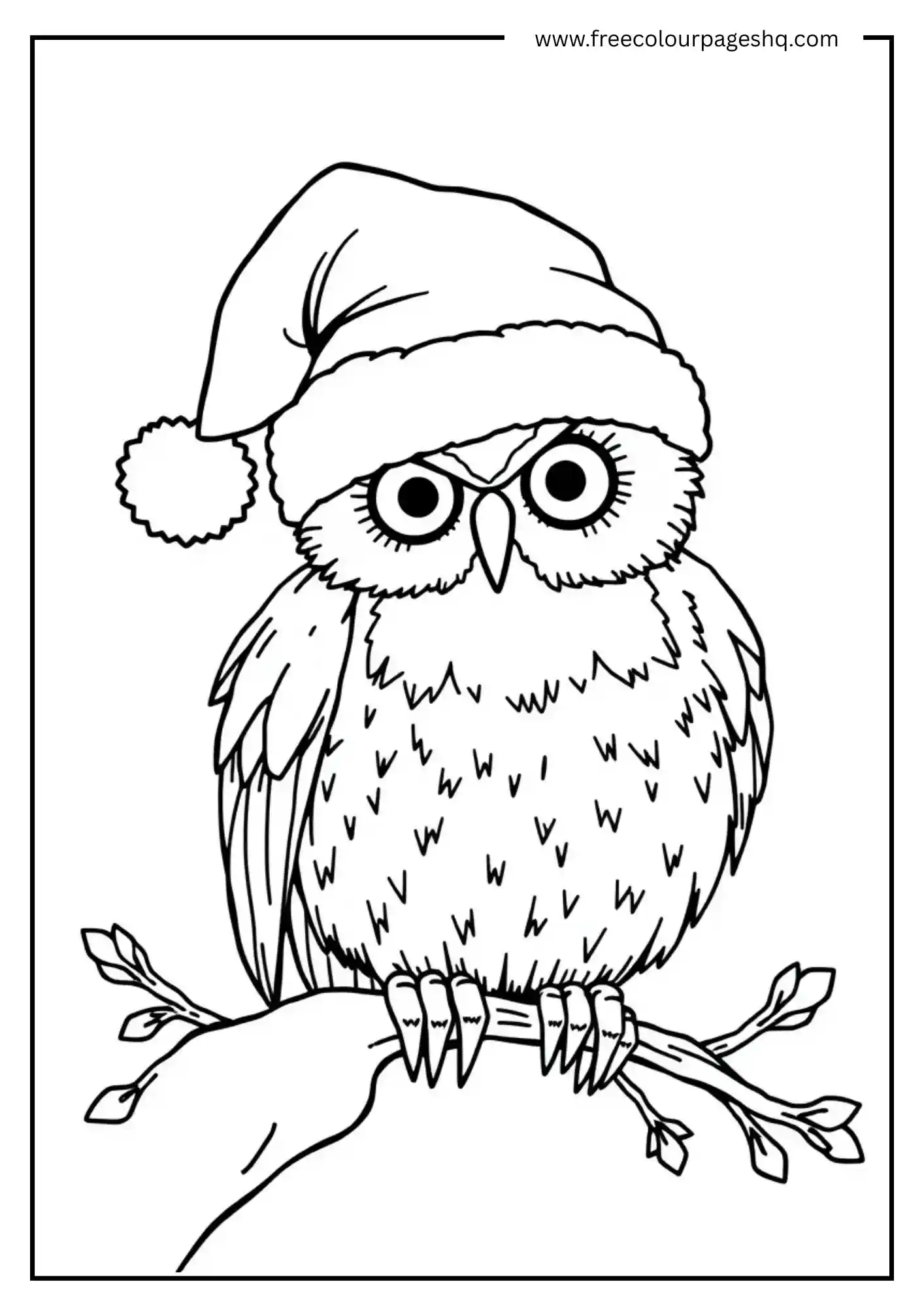 Santa Hat Owl