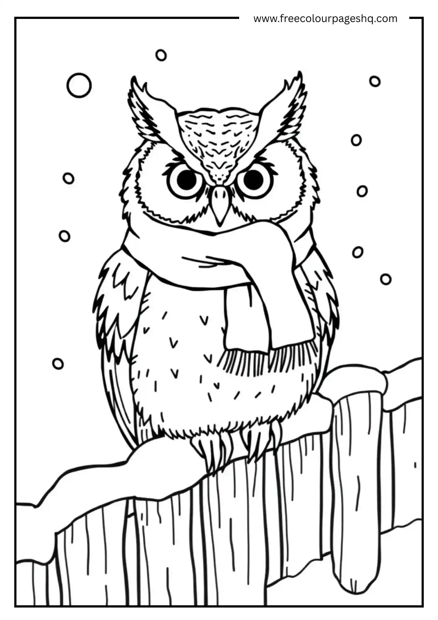 Scarf Winter Owl