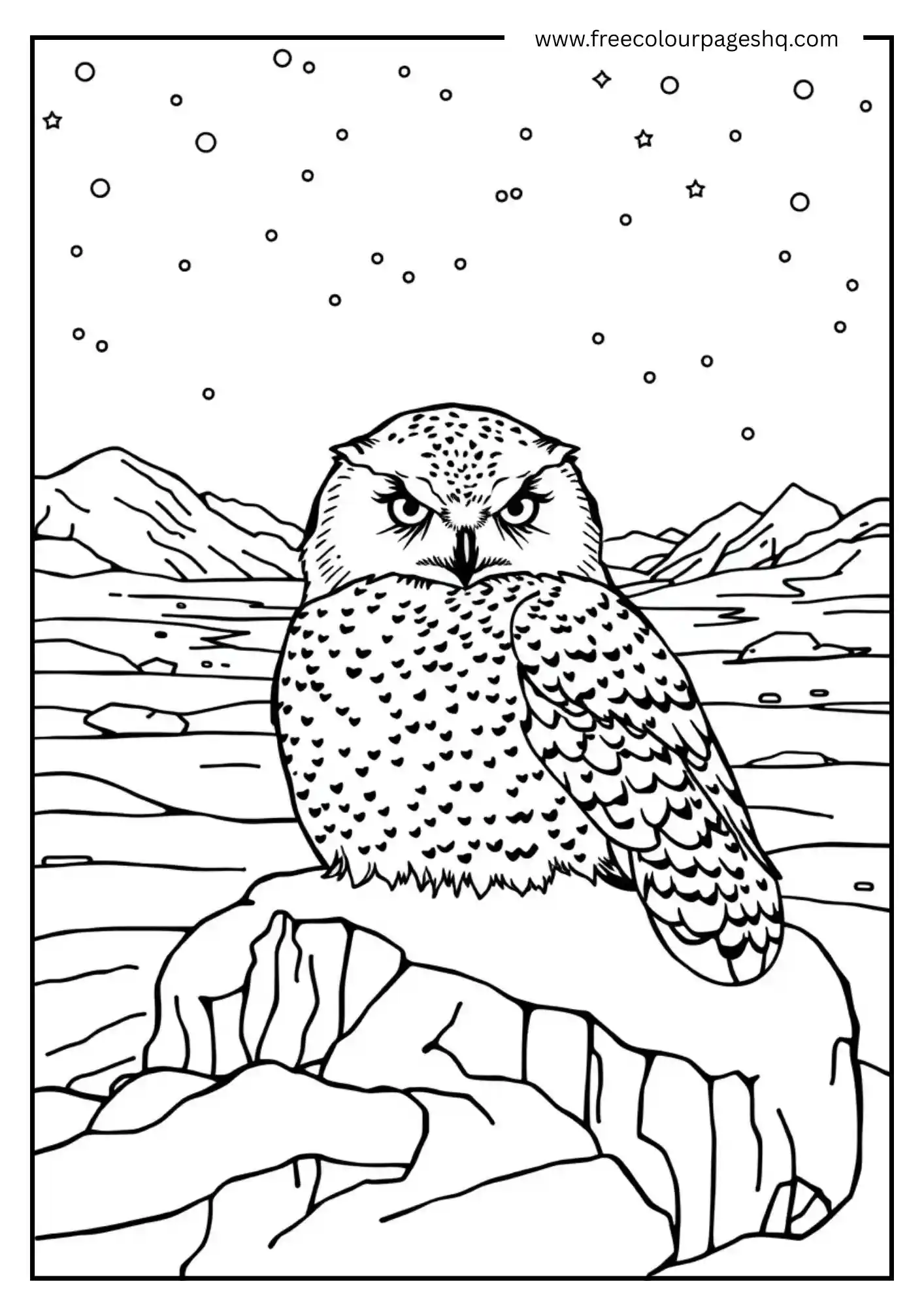 Snowy Owl Northern Lights