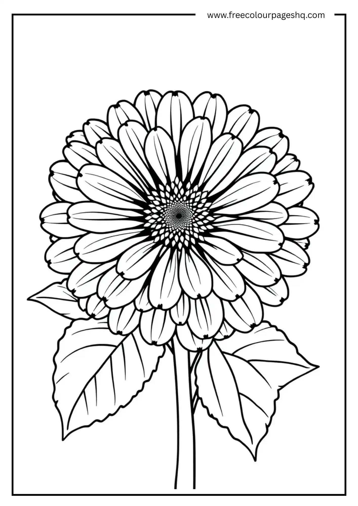Spring Flowers