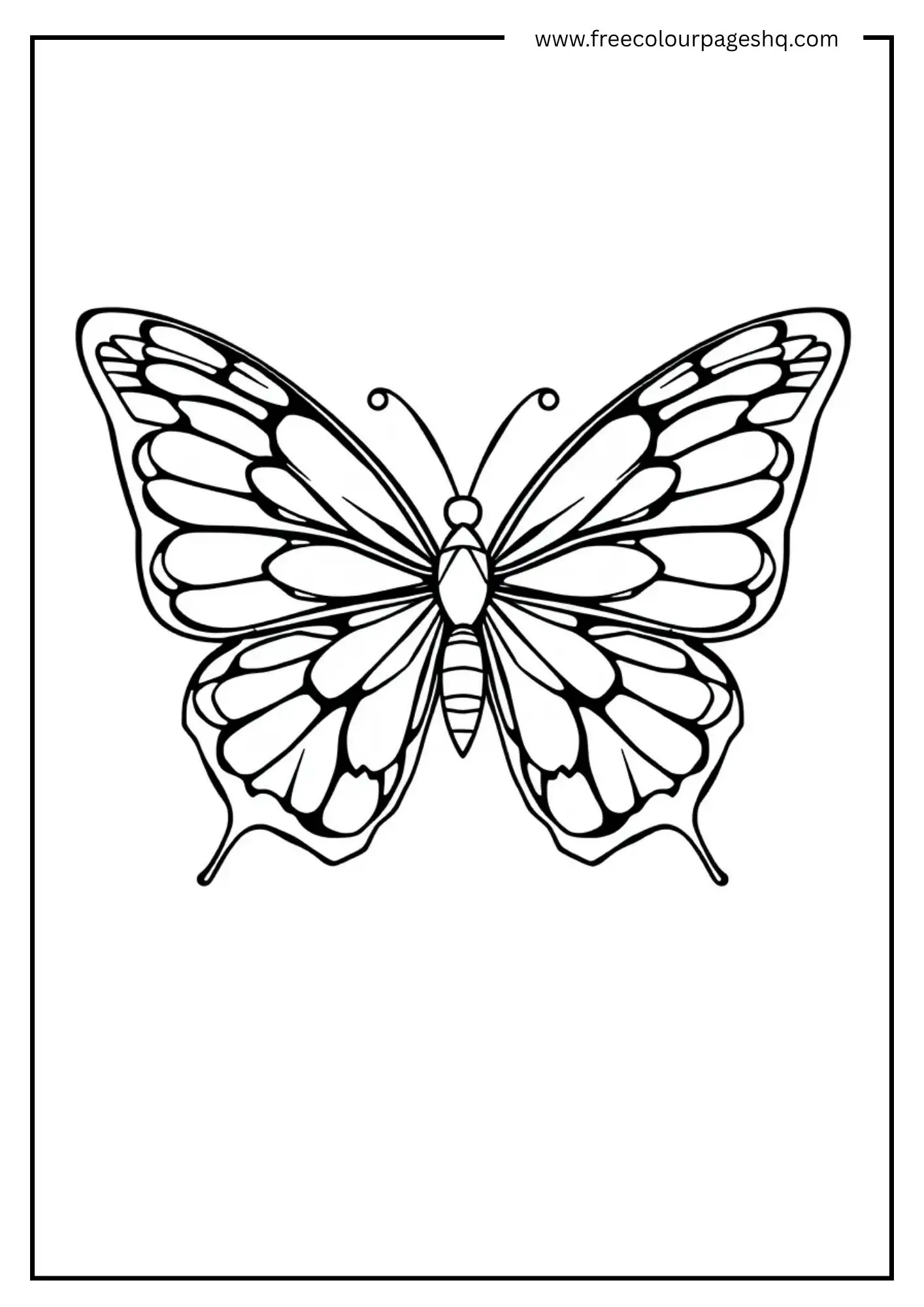Stained Glass Wings