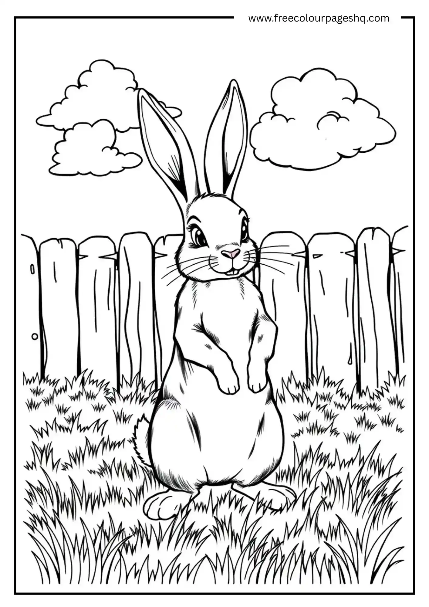 Standing Yard Bunny