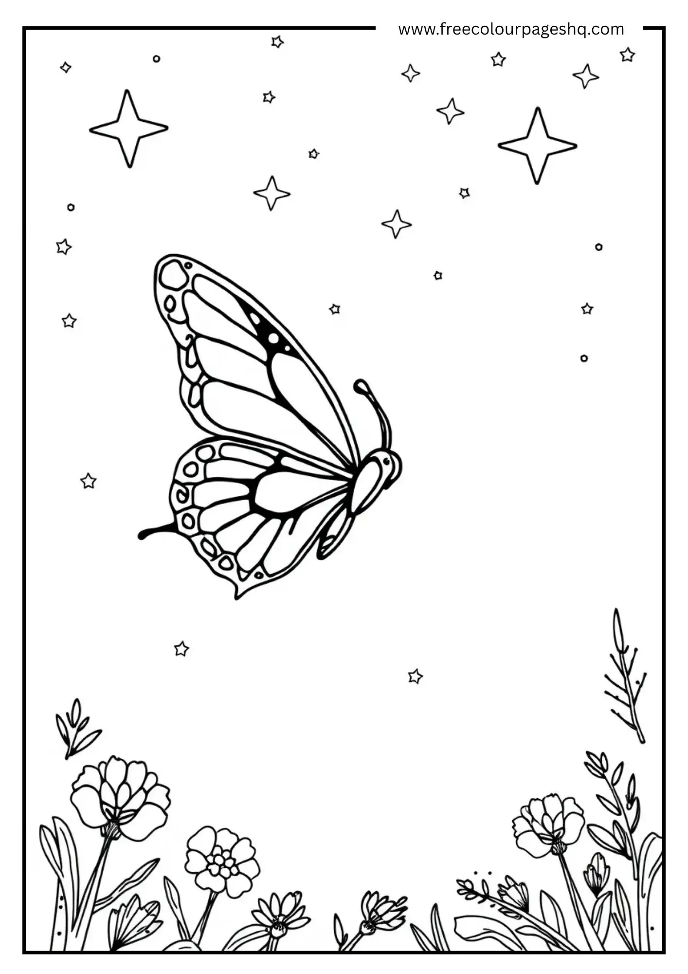 Starry Flight