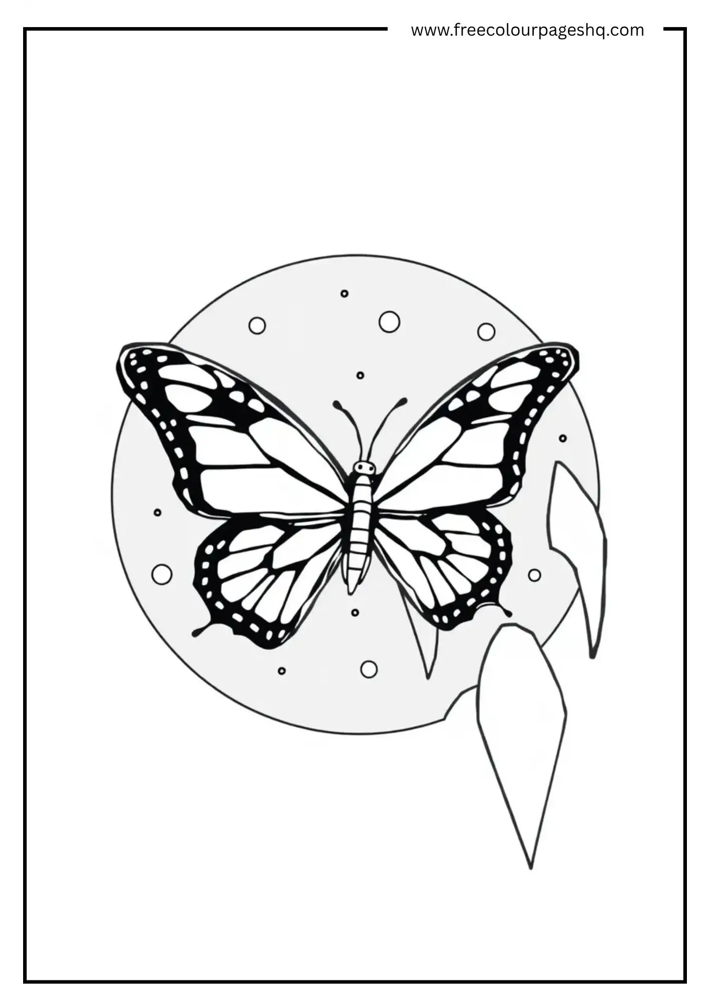 Stellar Flutter