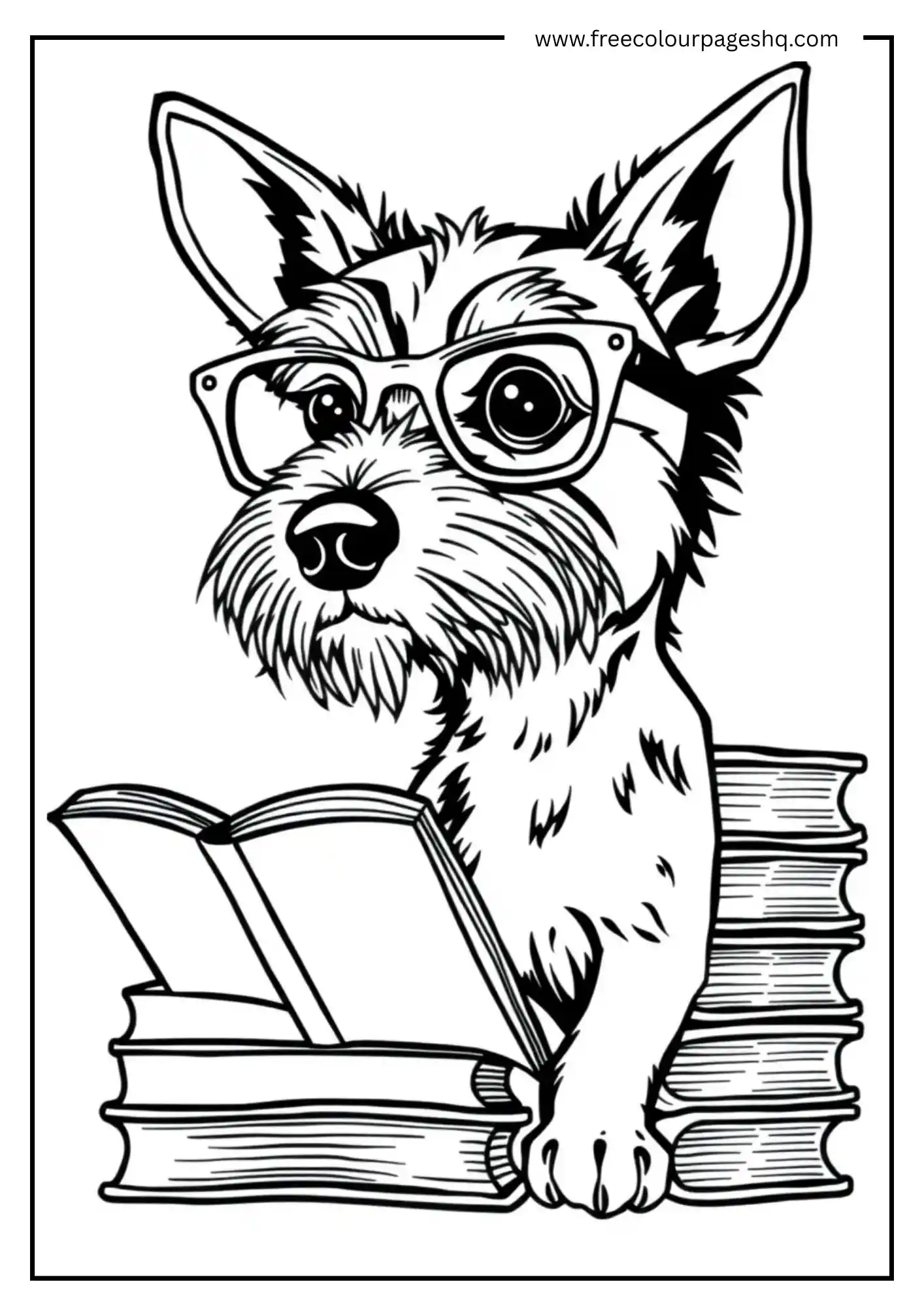 Study Dog