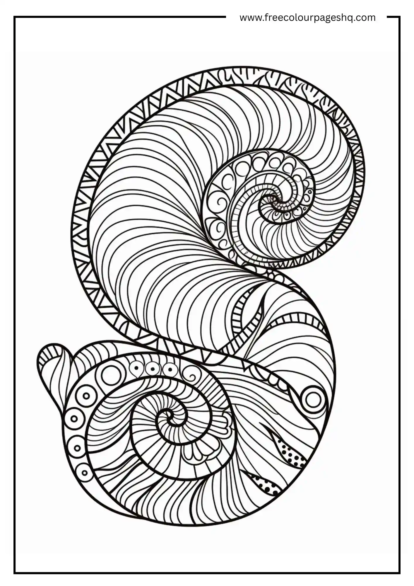 Stylized Nautilus Coloring