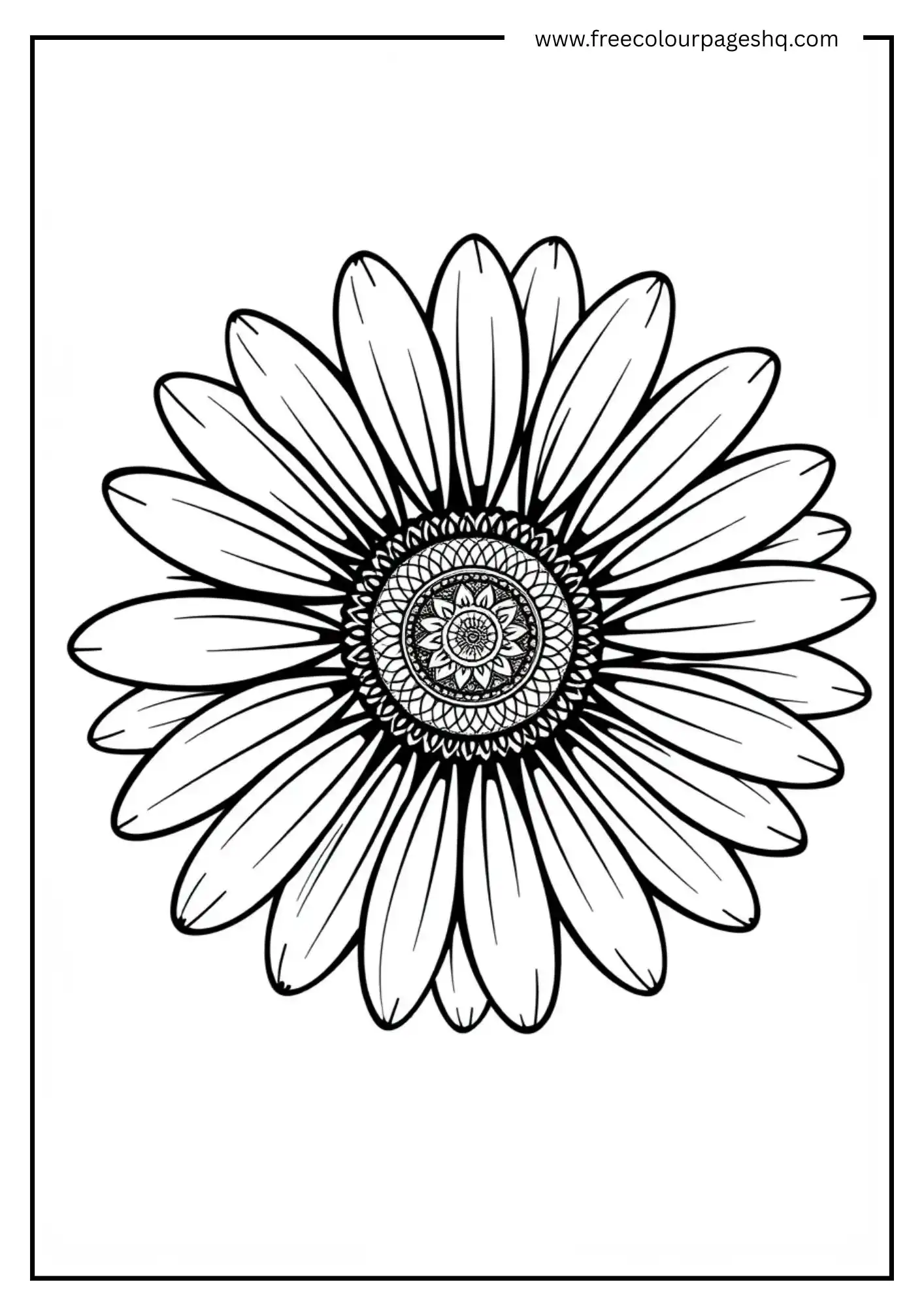 Sunny Bloom