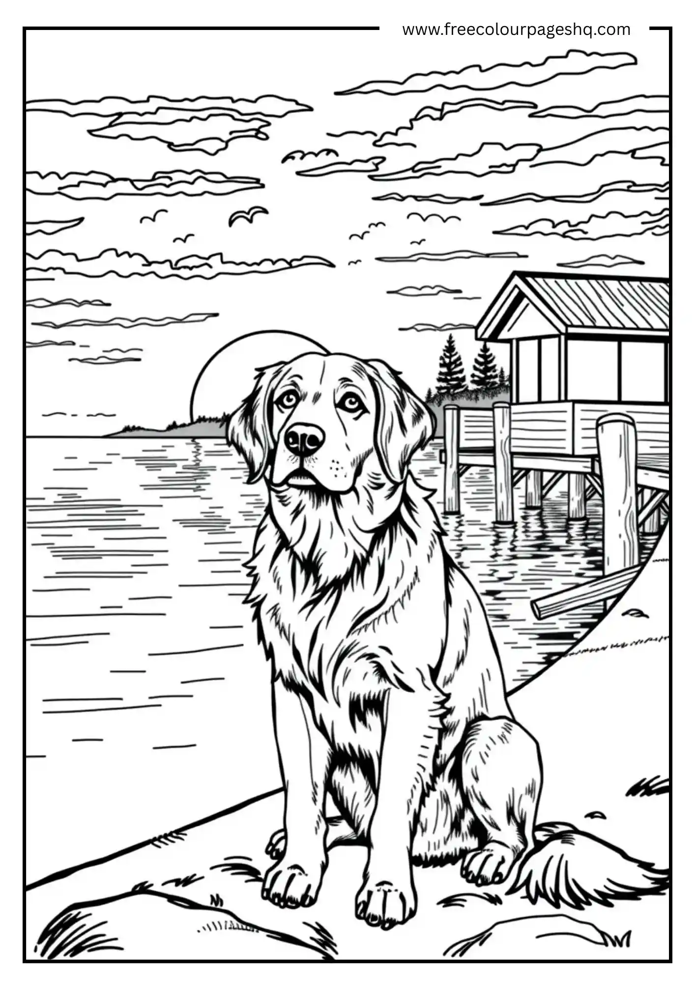 Sunset Dog