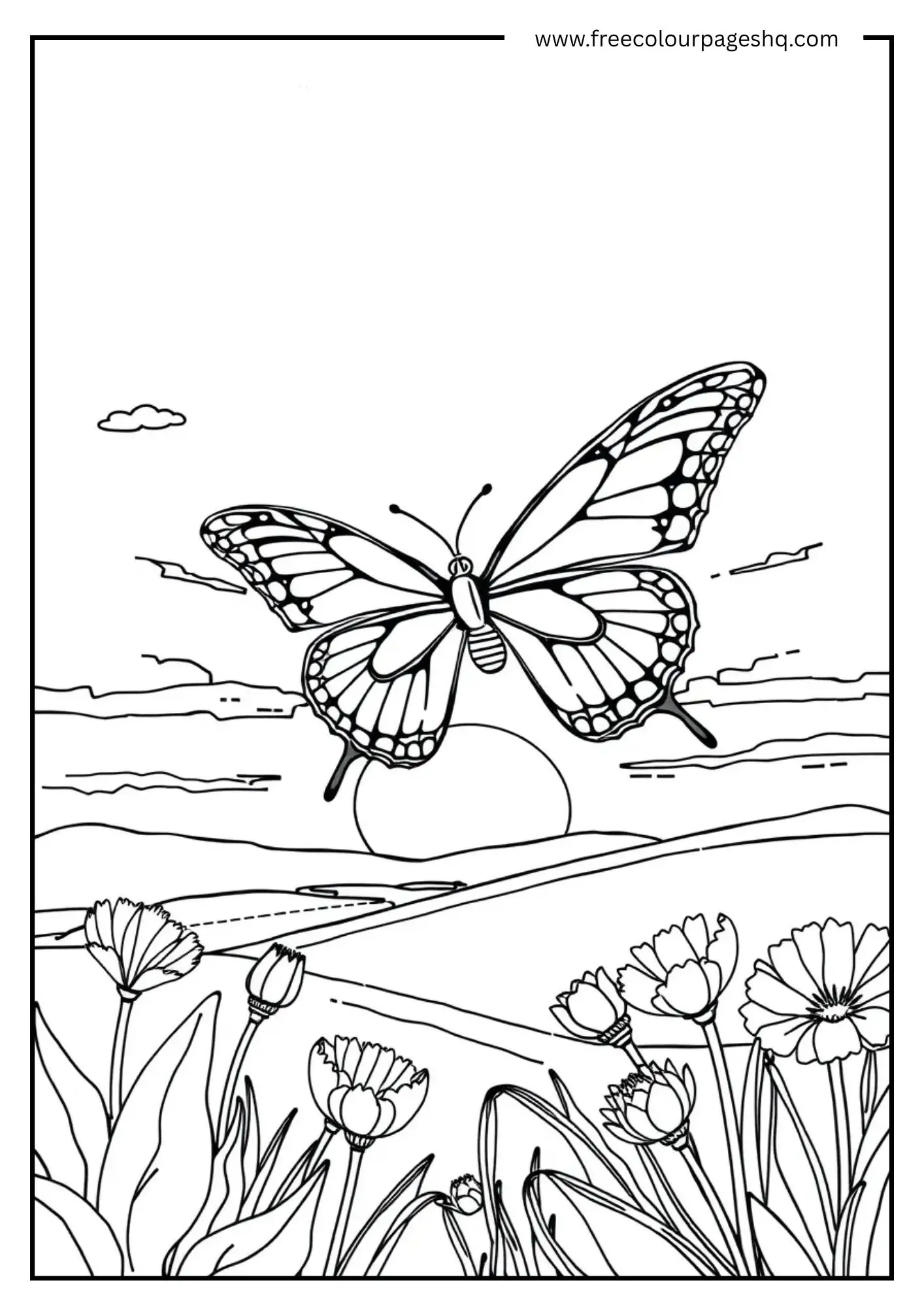 Sunset Flutter