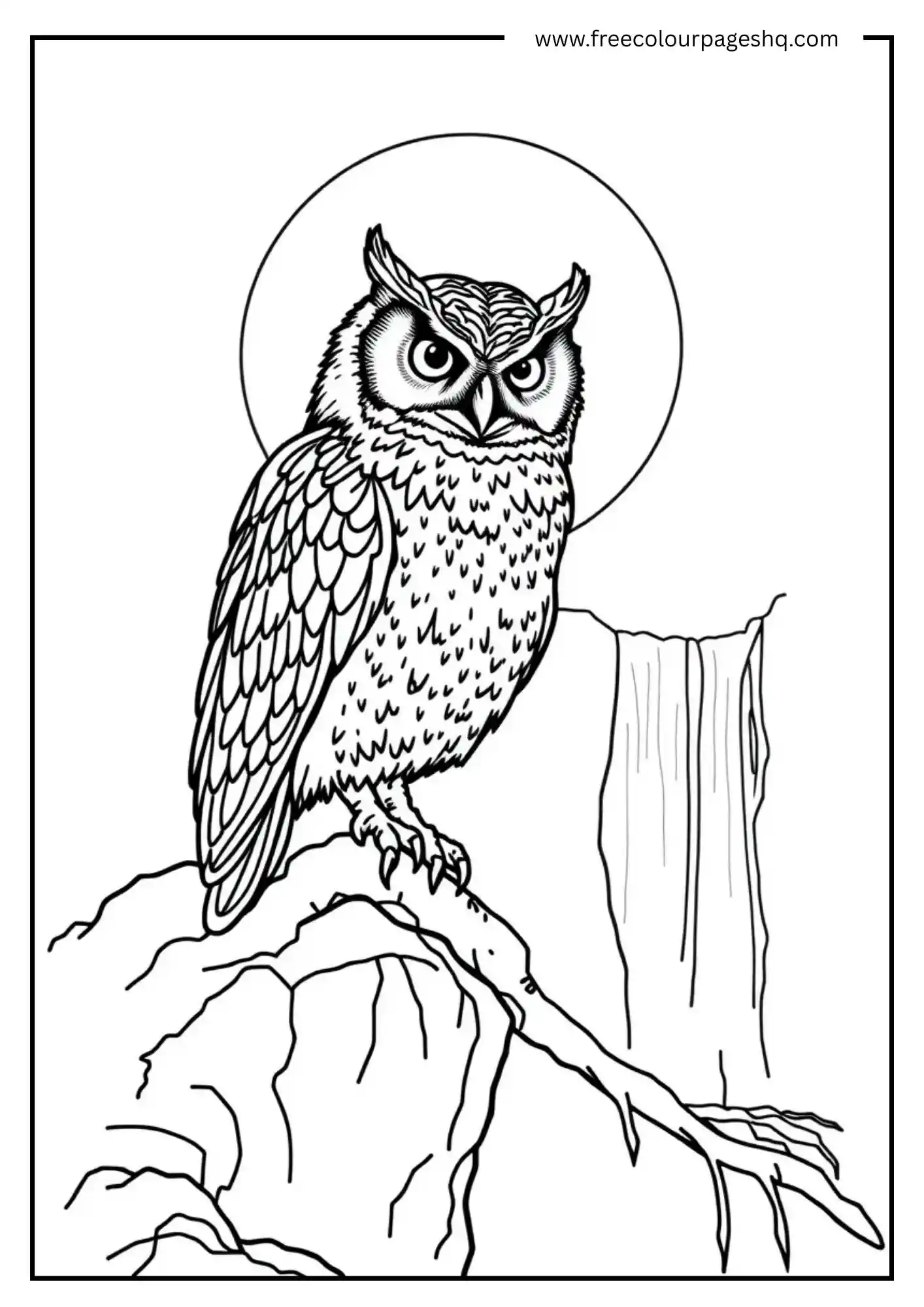 Sunset Waterfall Owl