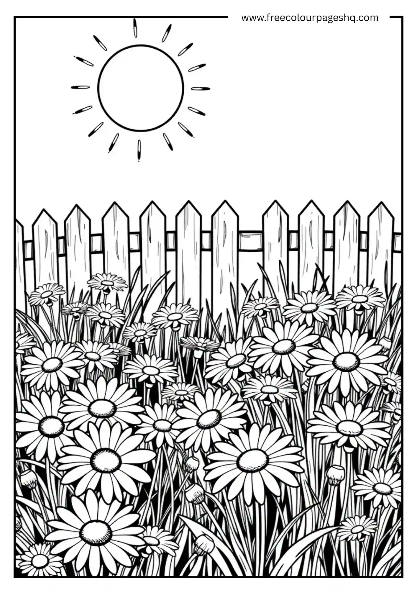Sunshine Blooms