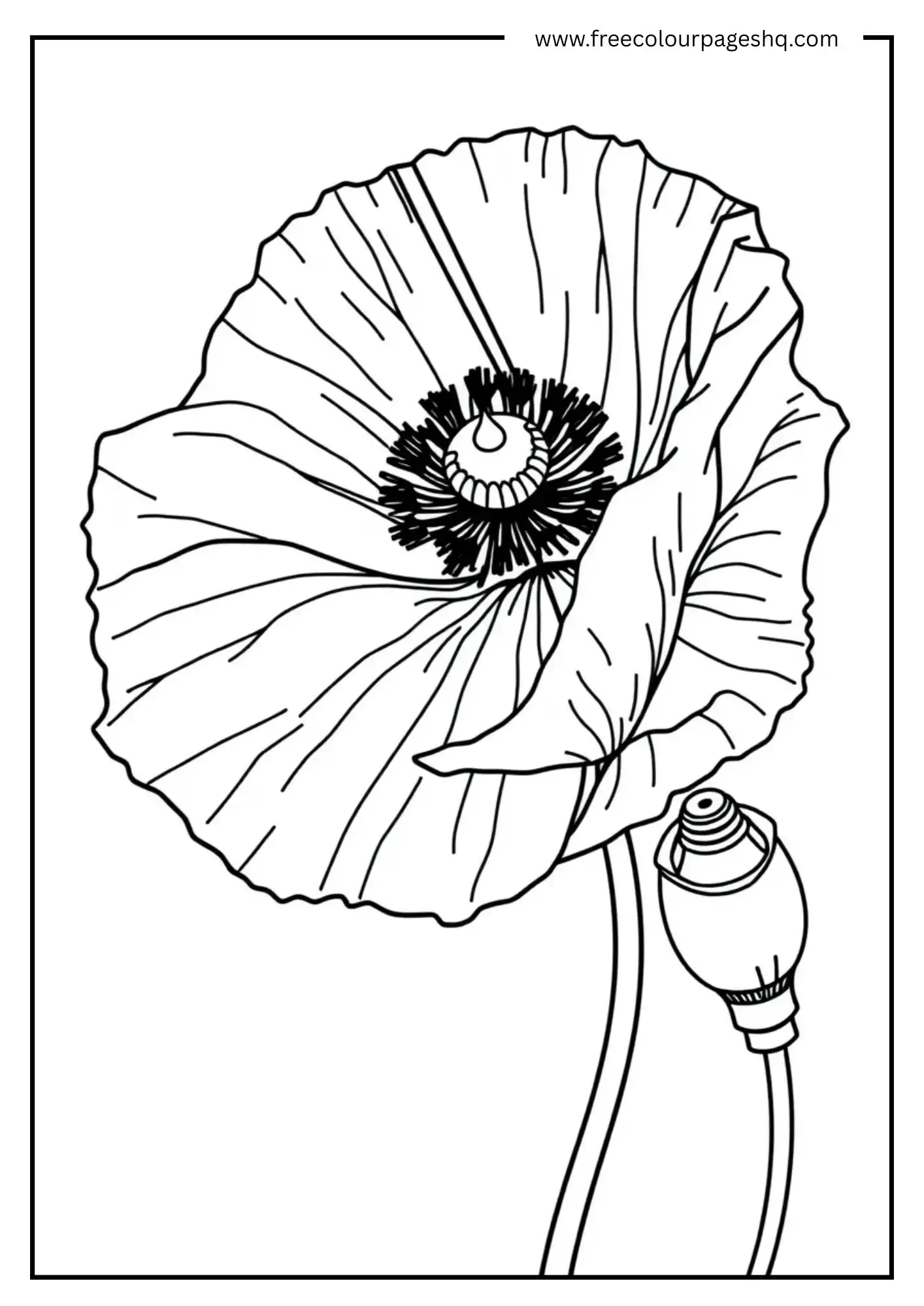 Sweet Flowers