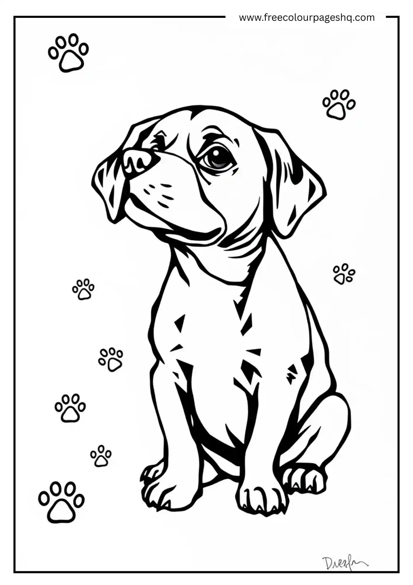 Sweet Pup